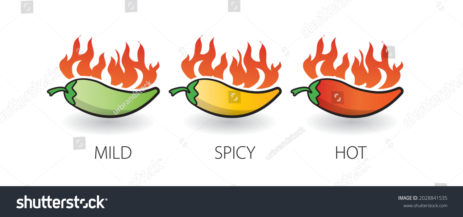 Spicy Chili Pepper Level Labels Concept Vector Royalty Free Stock