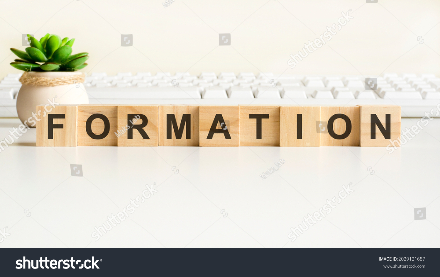 objective word made with wooden blocks. front view concepts, green plant in a flower vase and white keyboard on background #2029121687