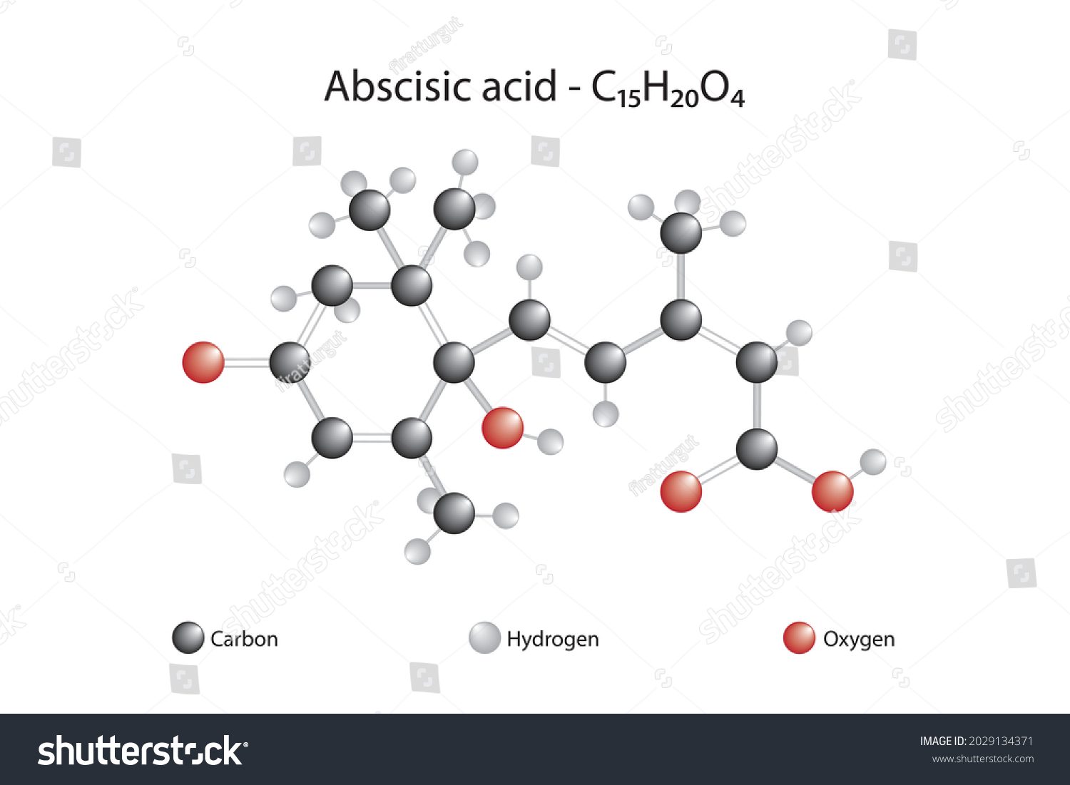 Molecular Formula Of Abscisic Acid Chemical Royalty Free Stock Vector 2029134371 