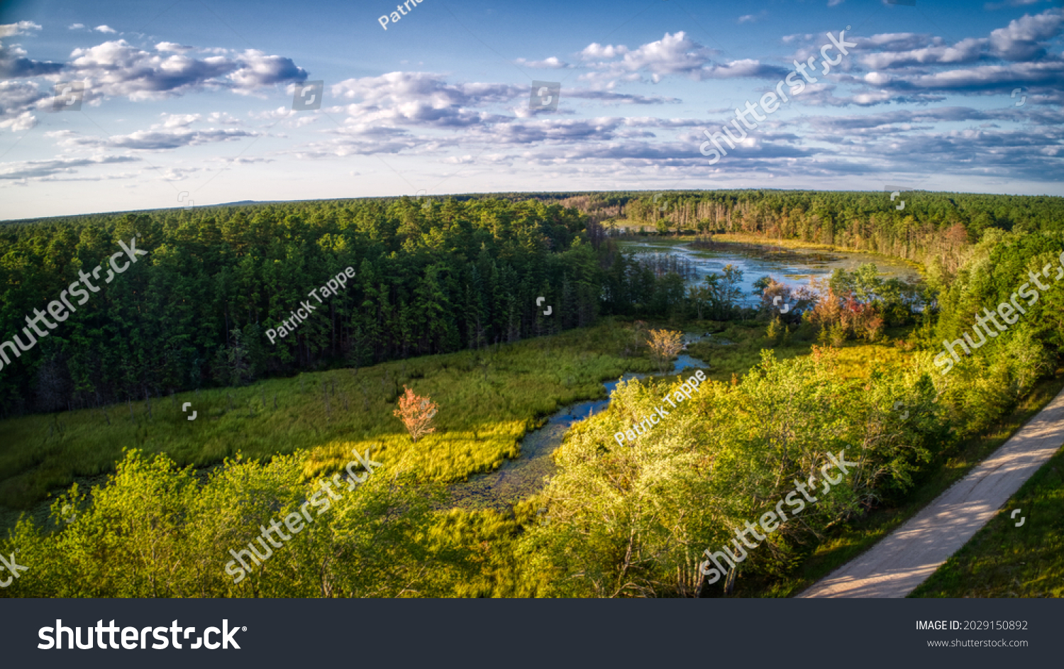 aerial shot of the featherbed branch in the Pine barrens, in New Jersey, USA #2029150892