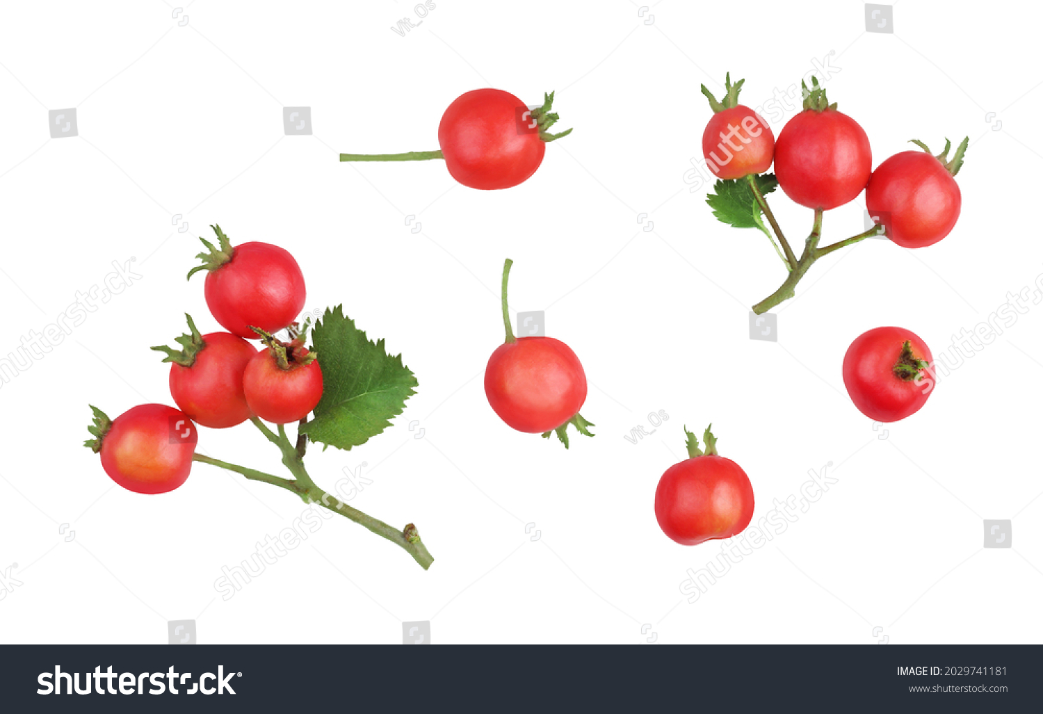 Hawthorn berries, top view, isolated on a white background #2029741181