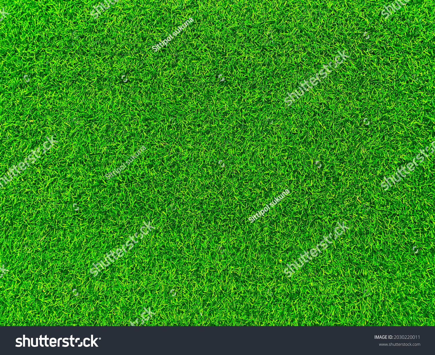 Green grass texture background grass garden  concept used for making green background football pitch, Grass Golf,  green lawn pattern textured background.
 #2030220011