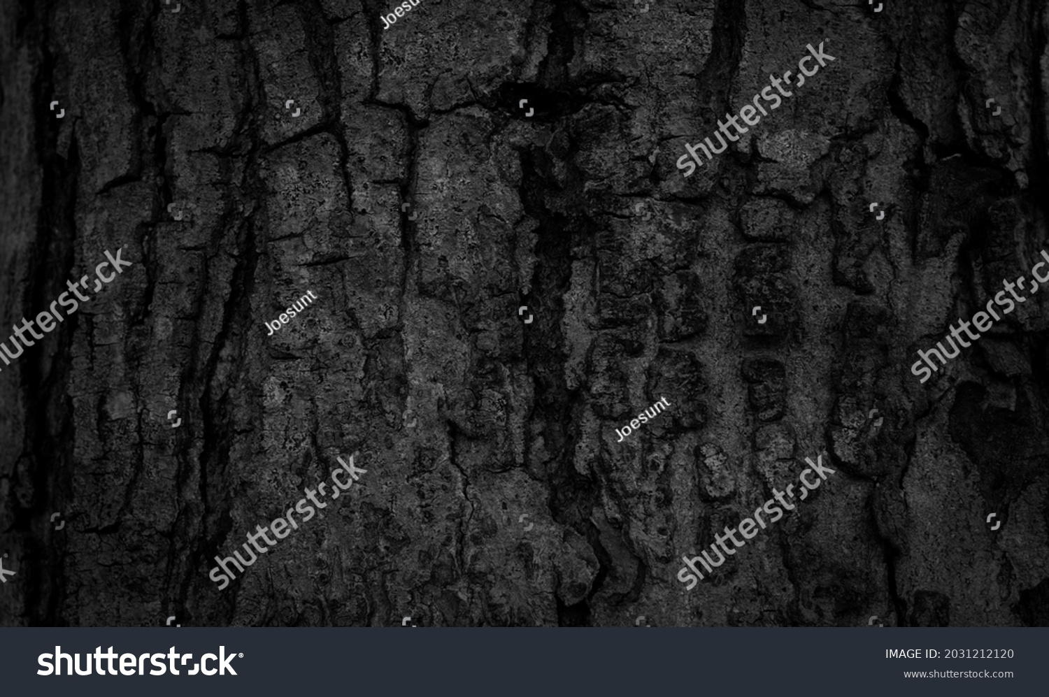 Black tree bark background Natural beautiful old tree bark texture According to the age of the tree with beautiful bark during the summer #2031212120