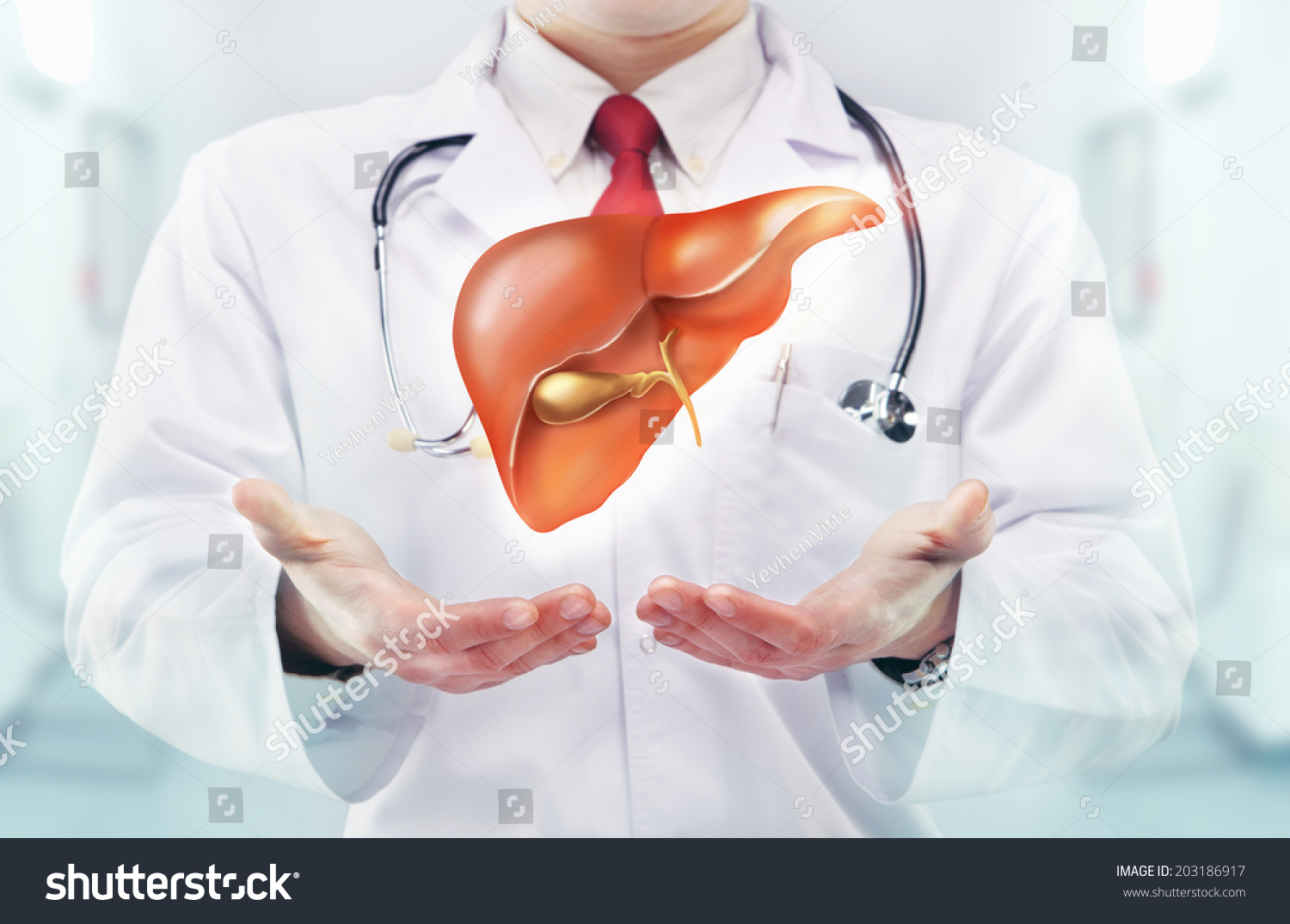 Doctor with liver in hands in a hospital #203186917
