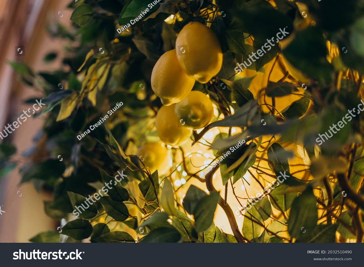 Young yellow lemons on a tall tree. Lemon tree with fruits illuminated by small light bulbs. Wood as a decor in the room is illuminated by light bulbs and yellow dim light. #2032510490