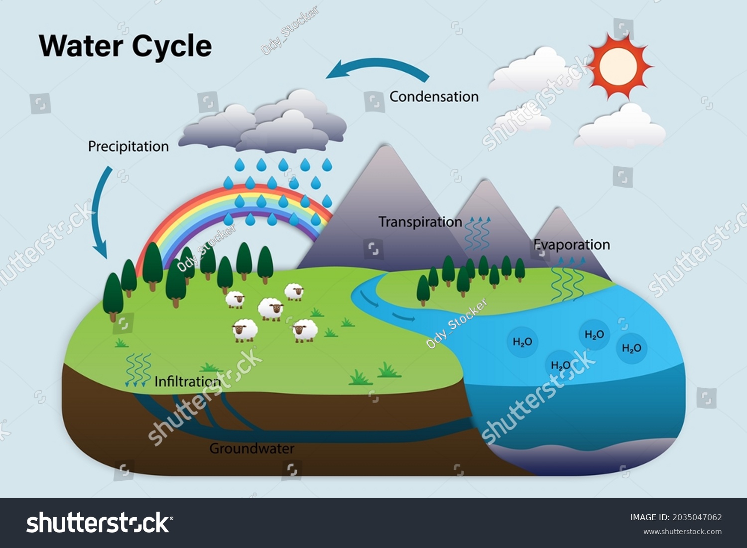 Vector Diagram of the water cycle in nature, - Royalty Free Stock ...