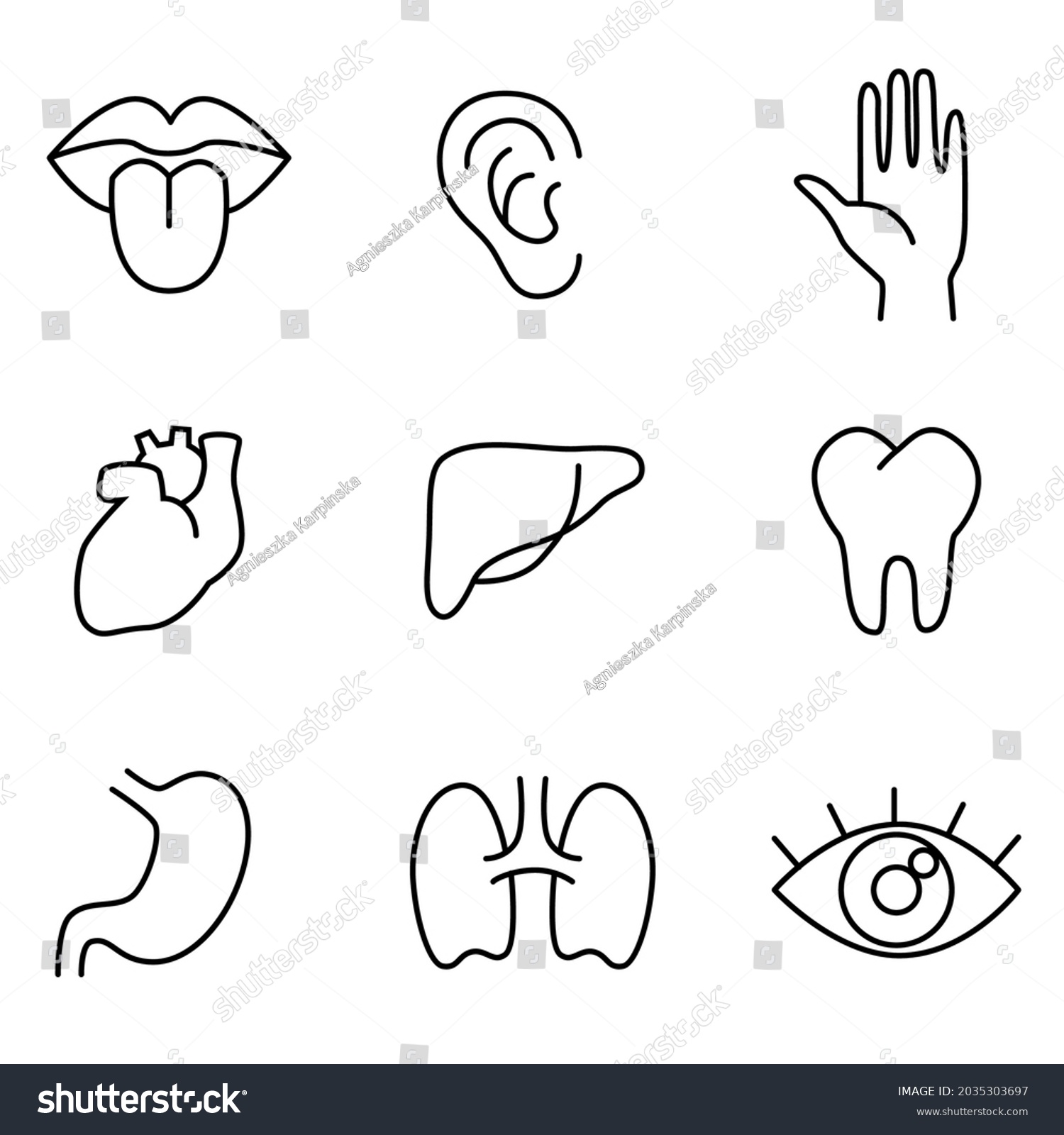 Human Body Parts Organs Vector Linear Icon Royalty Free Stock