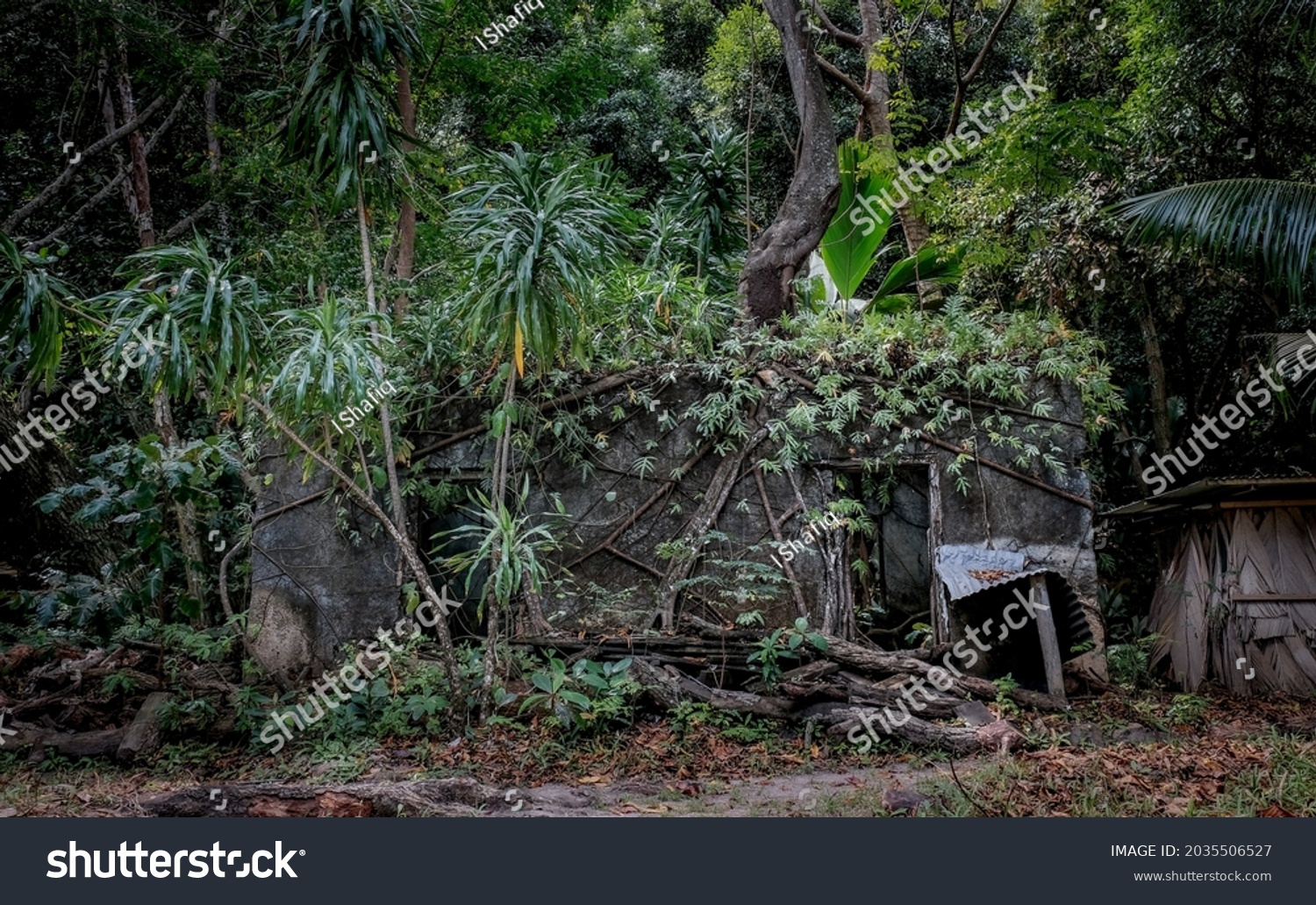 ruins of abounded leper colony (leproserium) at Curieuse island in Seychelles #2035506527
