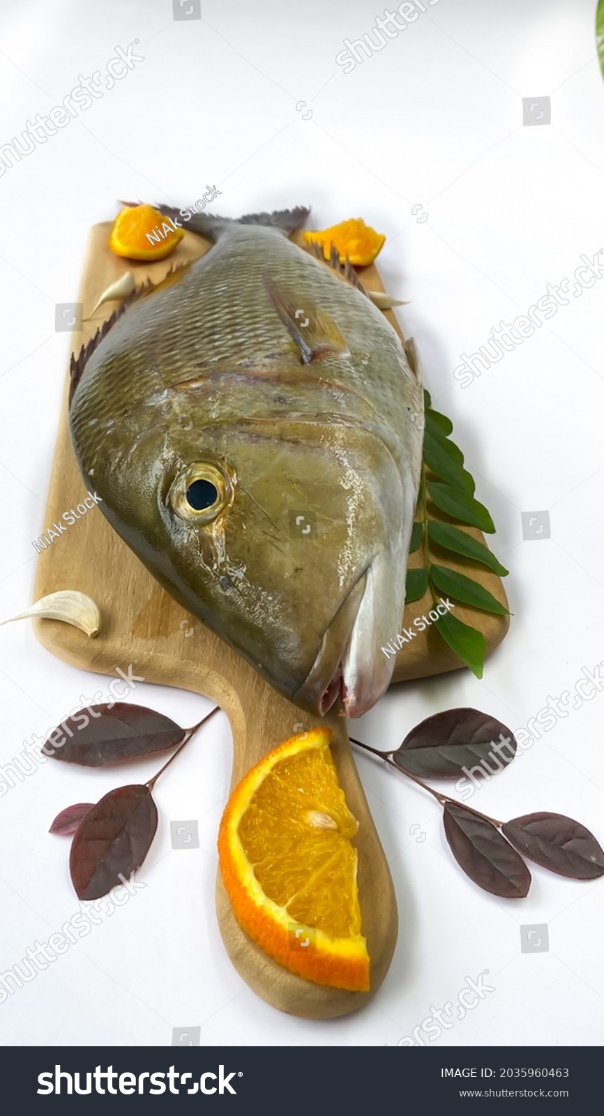 Fresh Emperor Fish decorated with herbs and vegetables on a wooden pad.White Background #2035960463