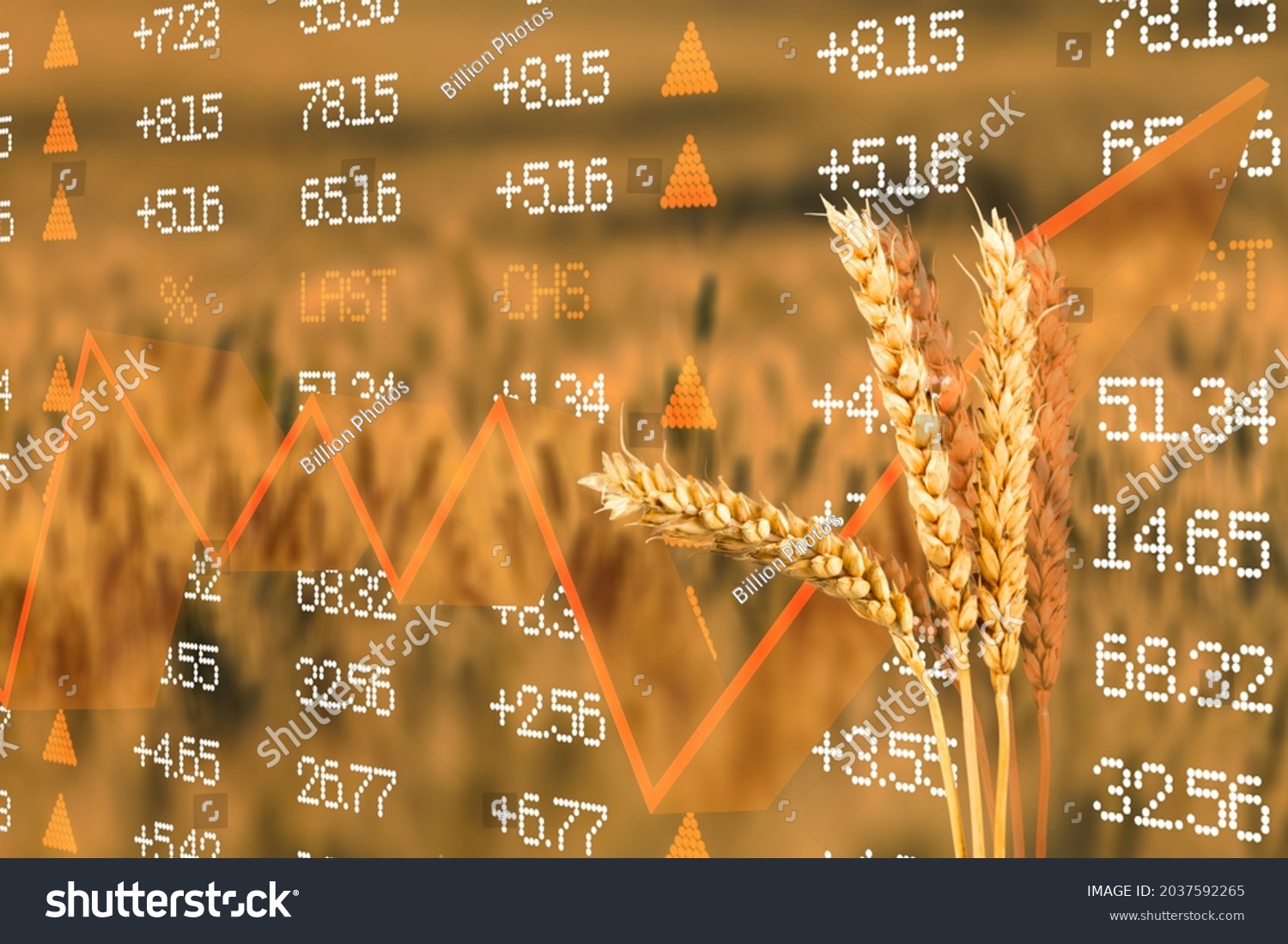 Diagram of rising food prices. Increase in the price of wheat seedson. Exchange quotes #2037592265