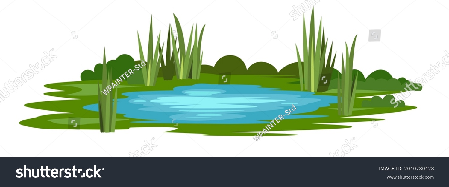 Swamp landscape with reed and cattail. Isolated element. Horizontally composition. Overgrown pond shore. Illustration vector. #2040780428