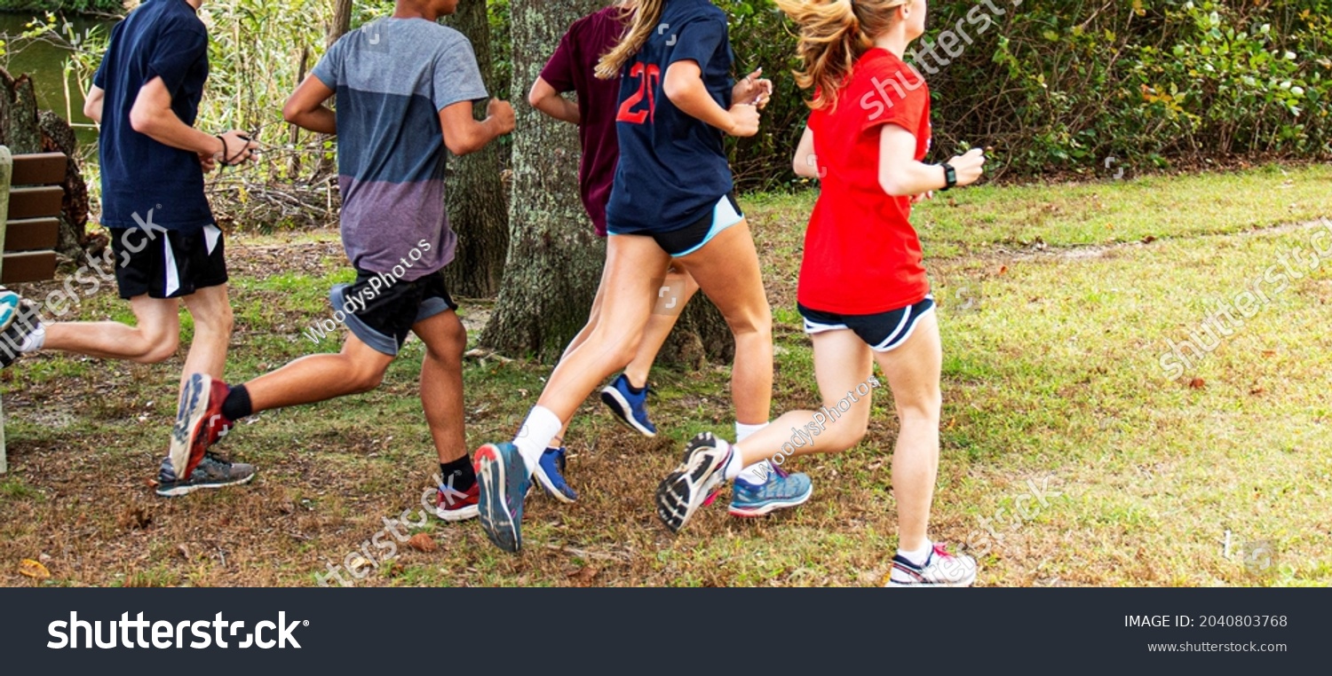 High school cross country runners training in a park on the grass passing a bench and a tree together. #2040803768