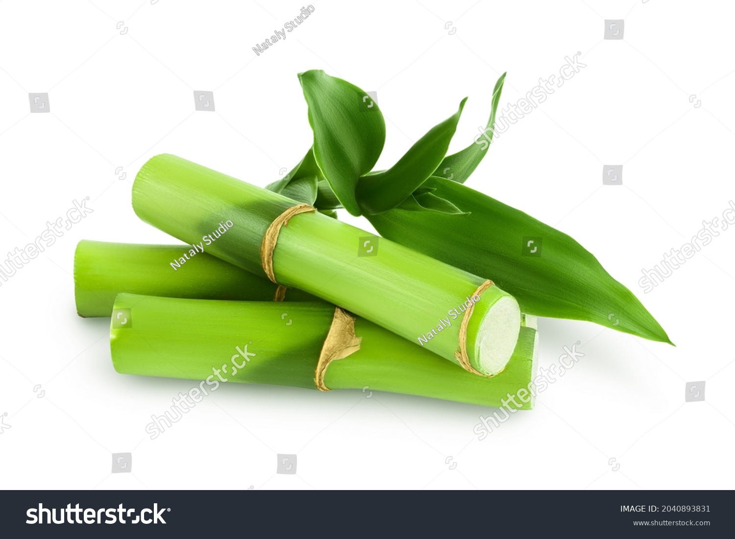 Green bamboo with leaves isolated on white background with clipping path and full depth of field #2040893831