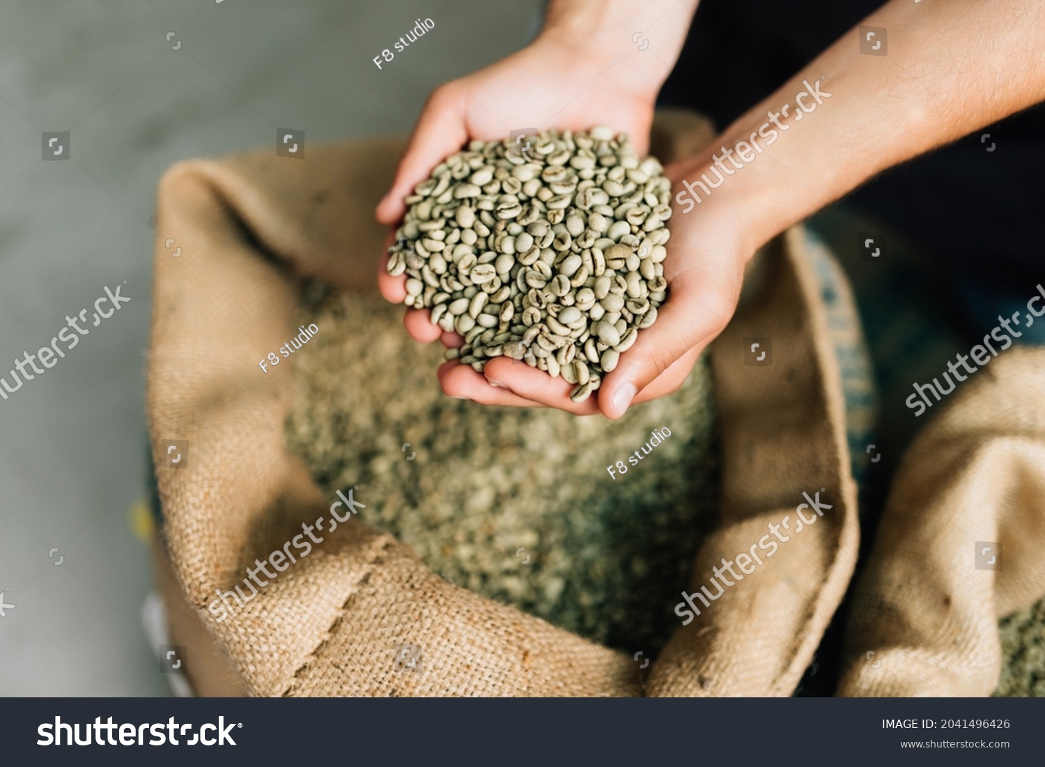 Hands of man showing sack full of green coffee beans #2041496426