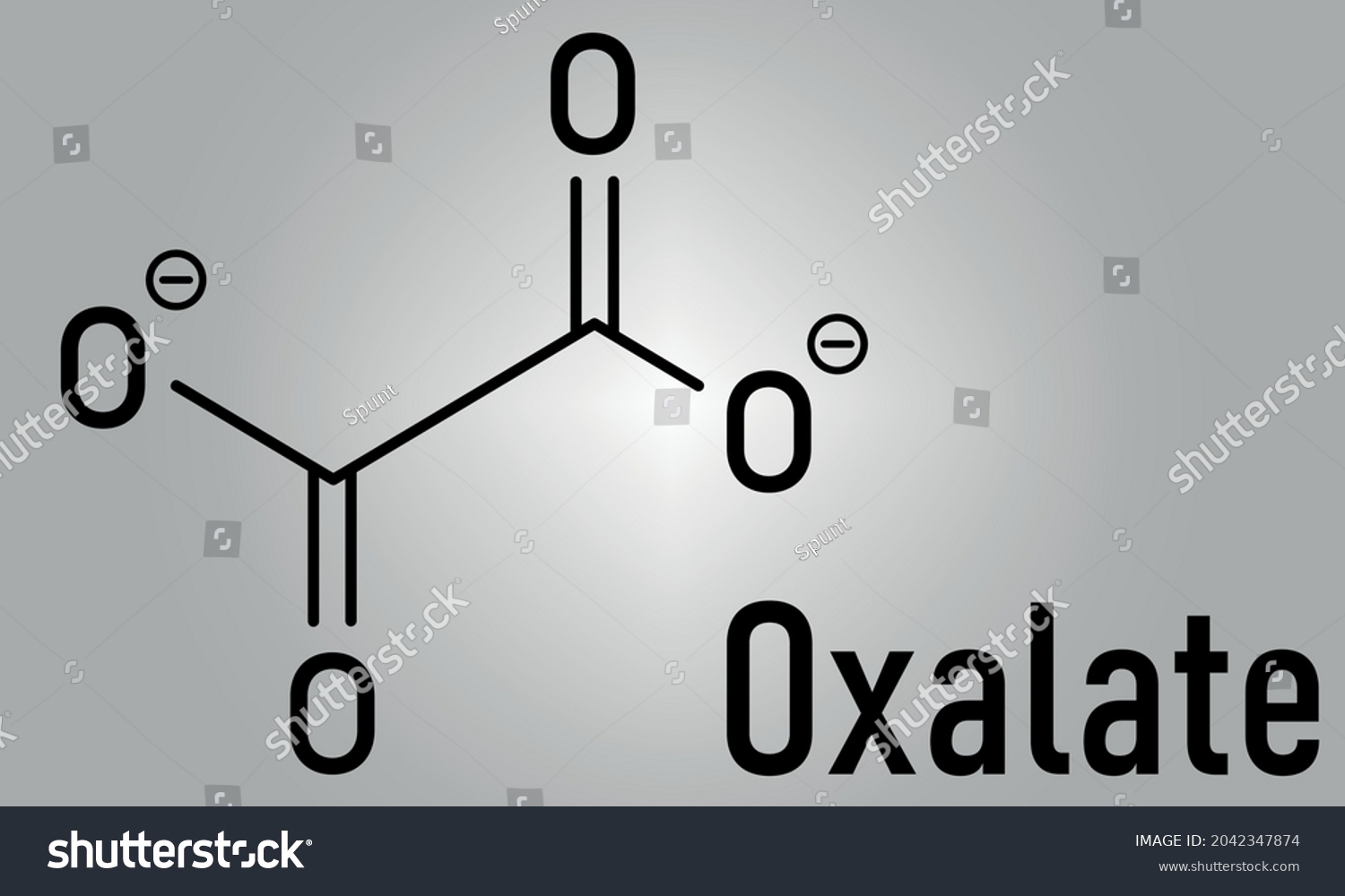 Oxalate Anion Chemical Structure Oxalate Salts Royalty Free Stock Vector 2042347874 2771