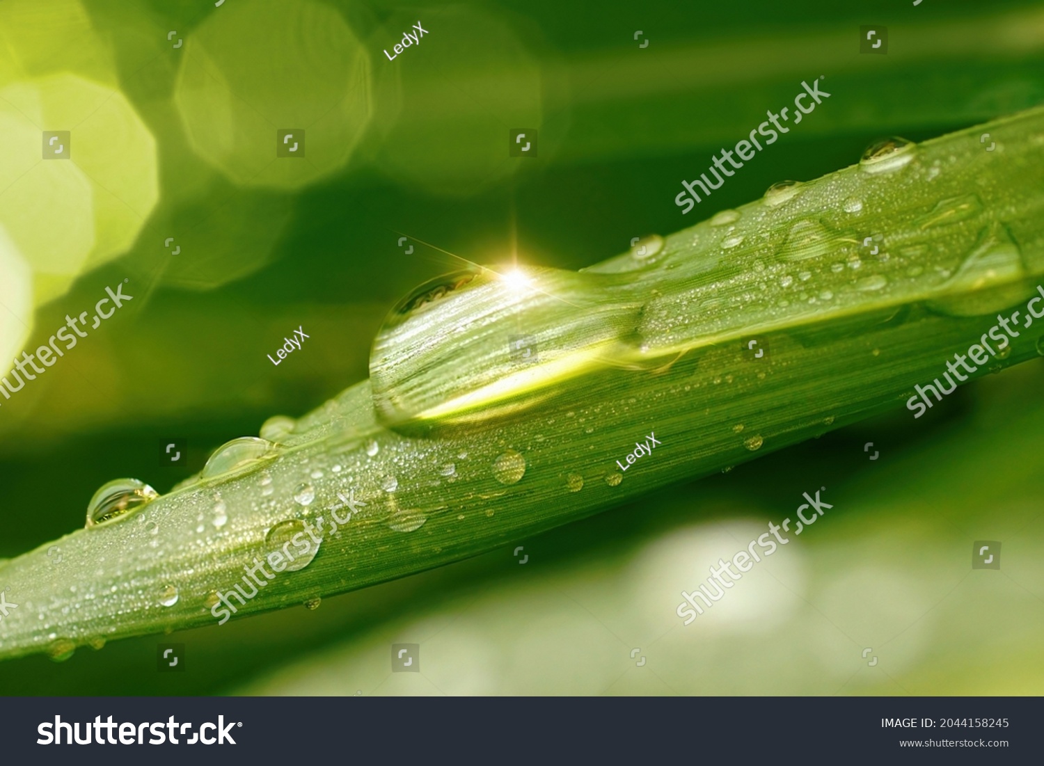 Beautiful water drop sparkle in sun on grass in sunlight, macro. Big droplet of morning dew with sun glare outdoor, beautiful round bokeh. Amazing artistic image of purity of nature. #2044158245