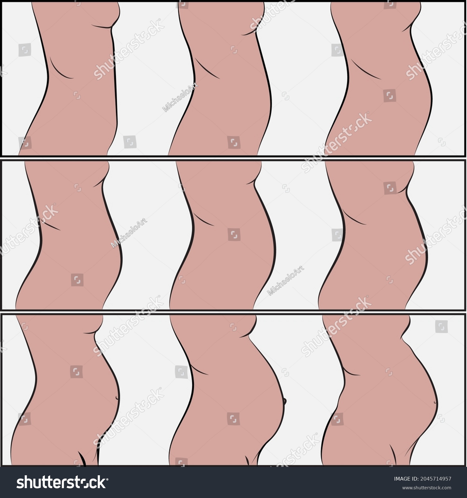 Stages Of Pregnancy Womans Belly Growing Royalty Free Stock Vector 2045714957