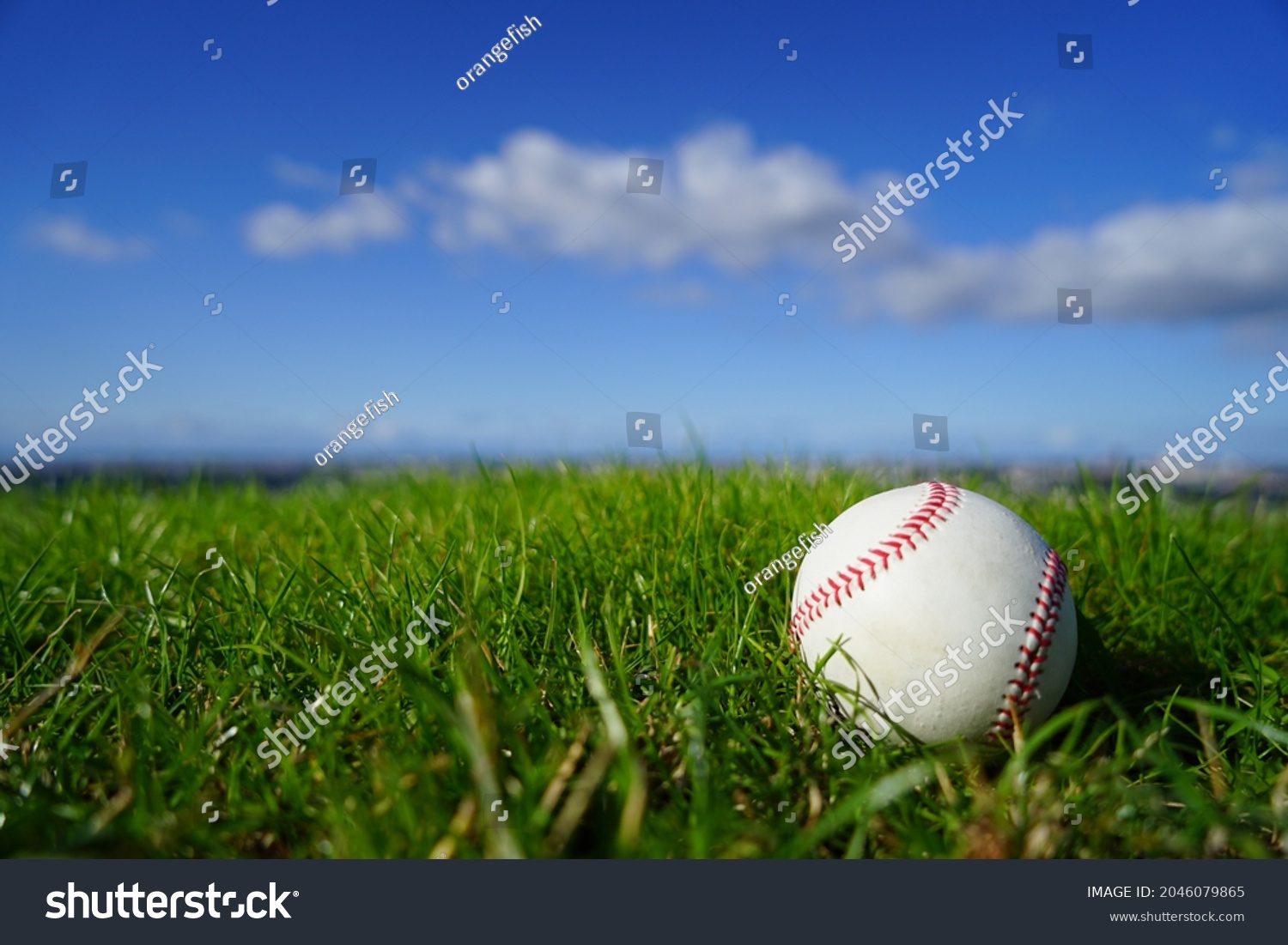 A baseball ball placed on a refreshing blue sky and natural grass #2046079865