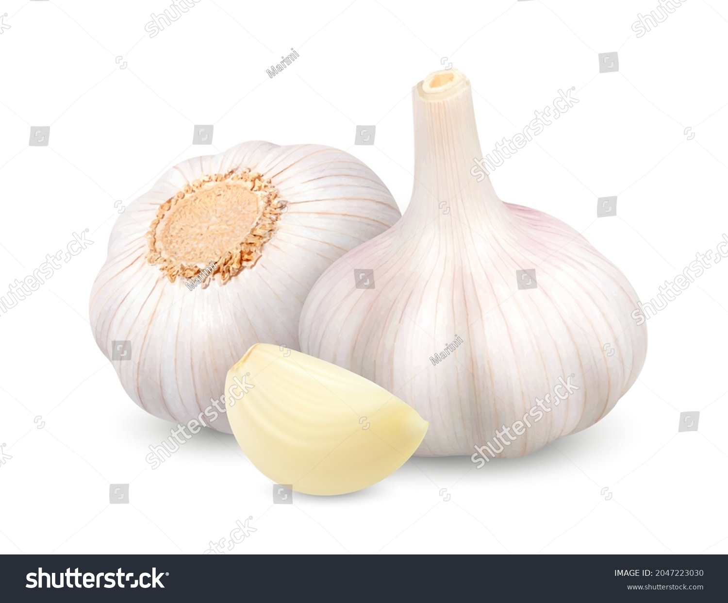 Garlic heads with clove. 3d Vector illustration isolated on white background #2047223030