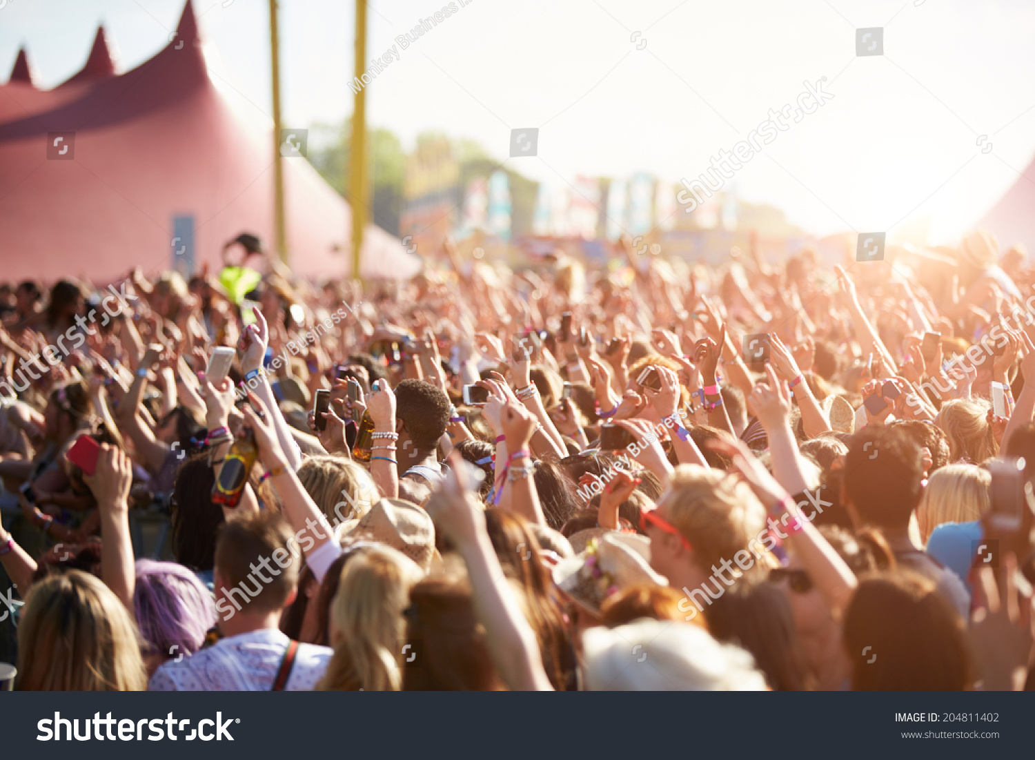 Audience At Outdoor Music Festival #204811402