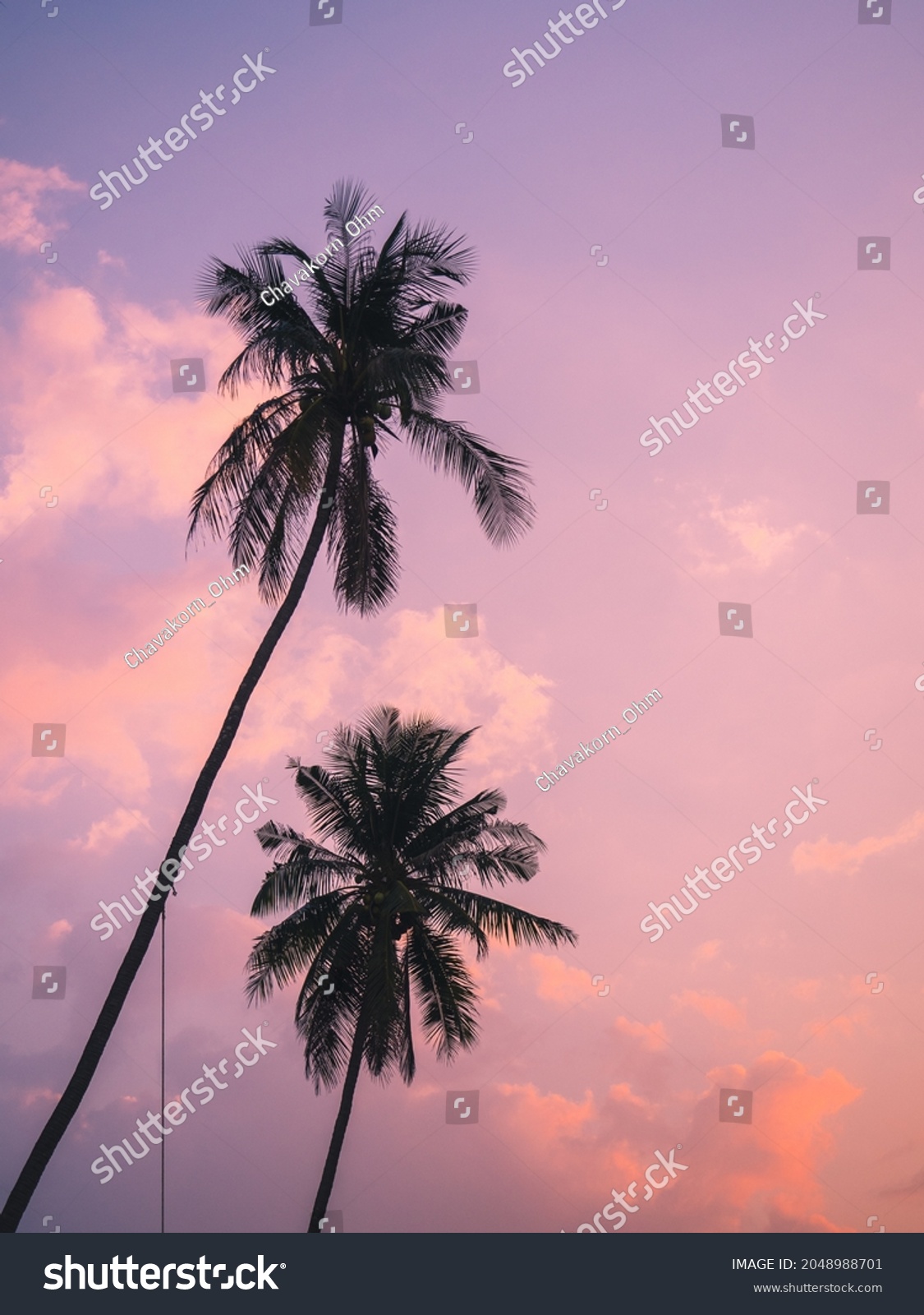 Scenic view of isolated tall coconut palm tree with colorful sunset sky background of tropical paradise island. Koh Mak Island, Trat, Thailand. Minimal summer vibe background with copy space. #2048988701