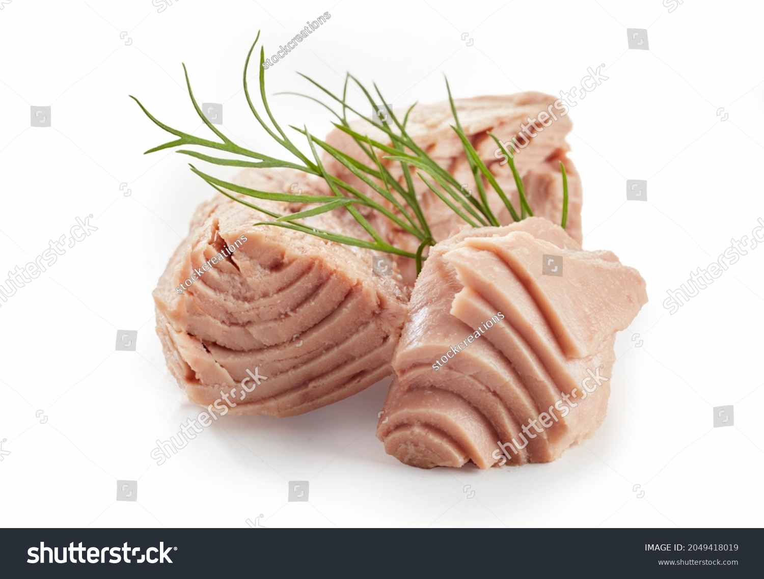 Closeup of sliced canned tuna fish fillet with sprig of fresh green dill on white background #2049418019