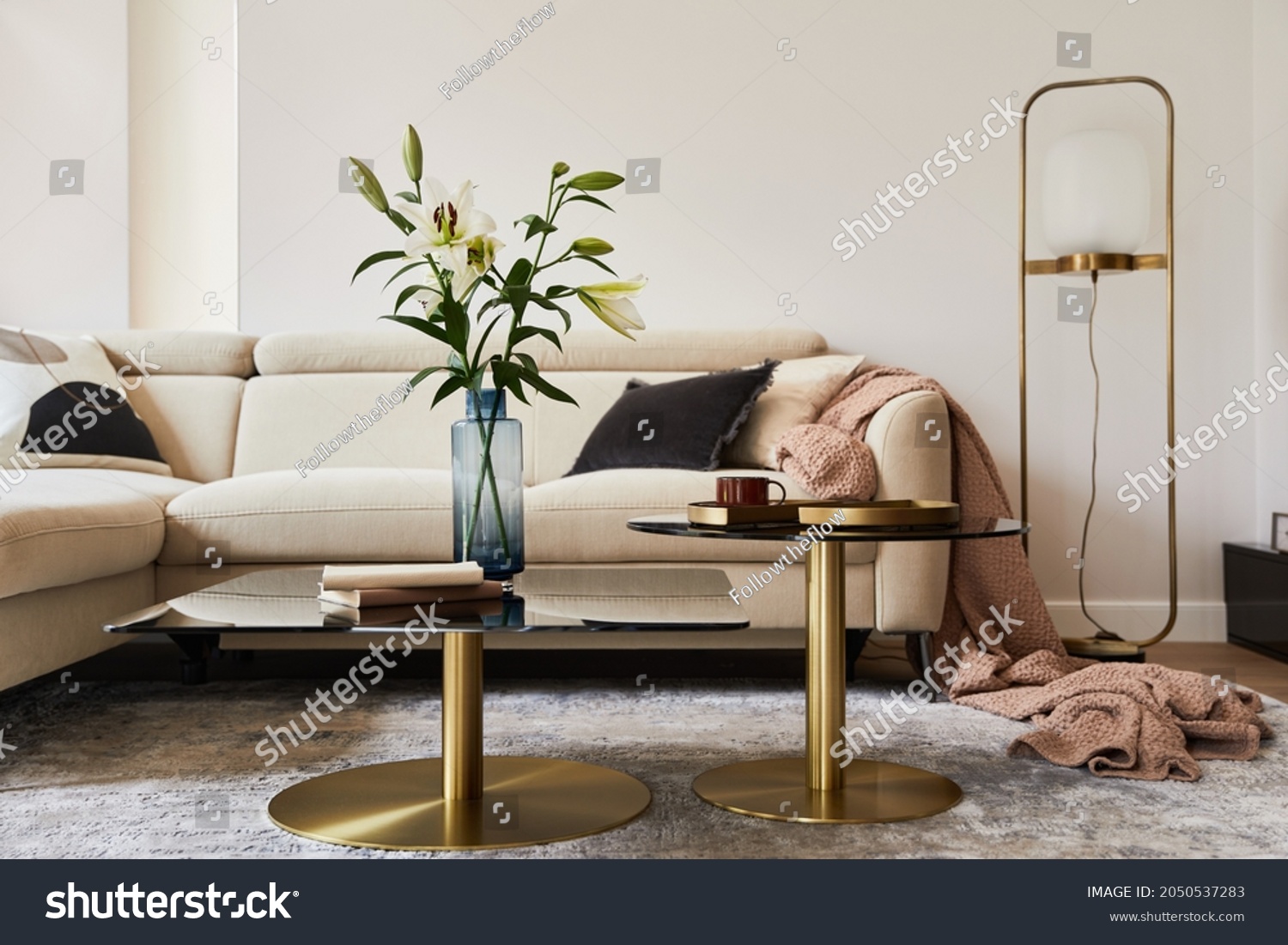 Stylish living room interior composition with beige sofa, glass coffee table, carpet on the floor and glamorous accessories. Template. #2050537283