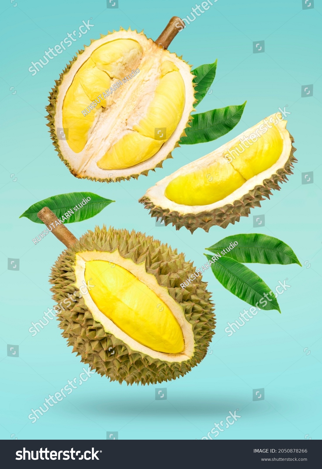 Fresh durian with green leaves falling in the air isolated on green background, Durian fruit on green background  #2050878266
