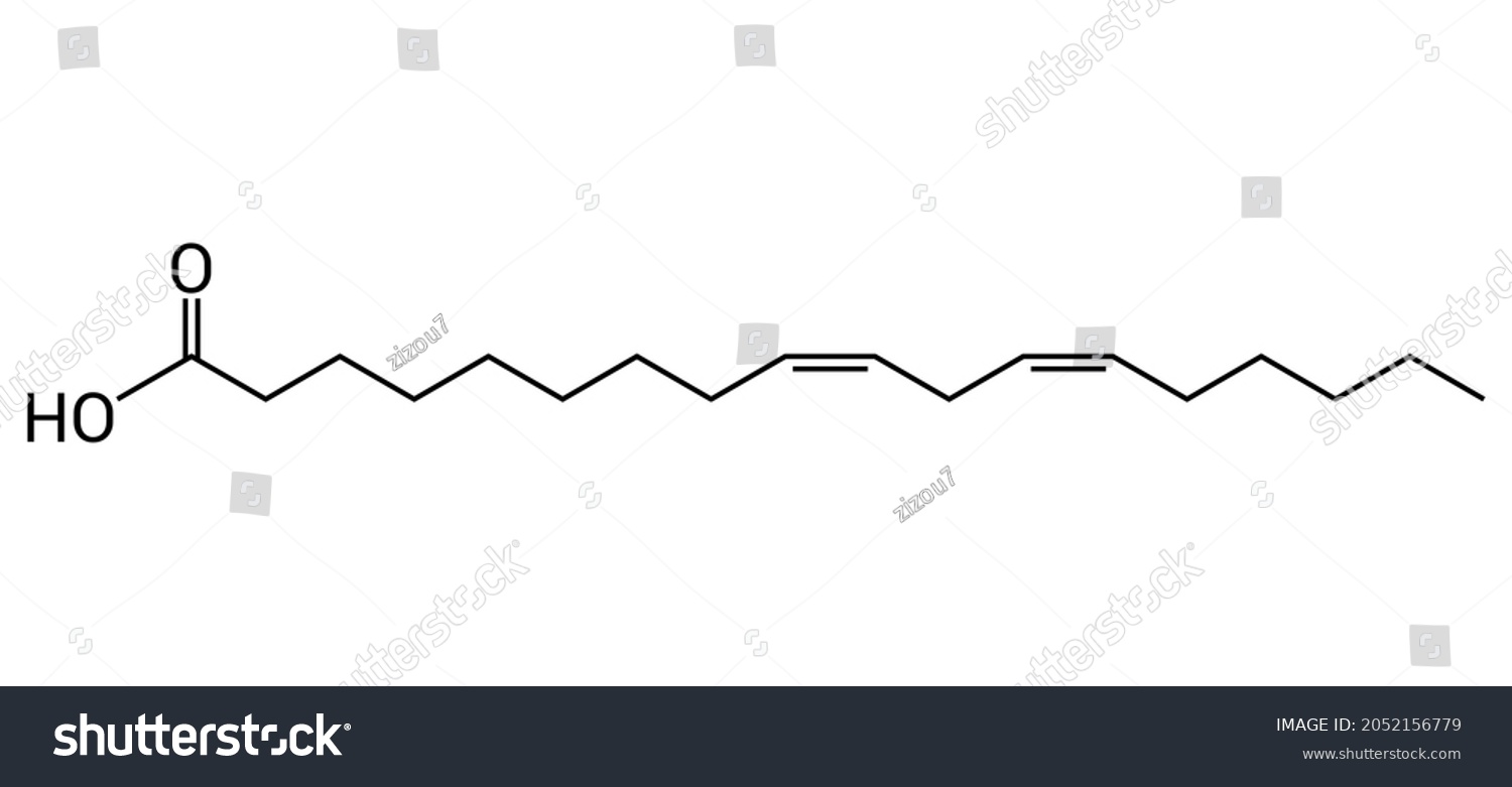 Chemical Structure Of Linoleic Acid C18h32o2 Royalty Free Stock Vector 2052156779 2516