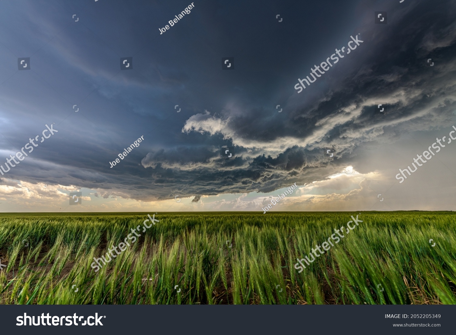 Panorama of a massive storm system, which is a pre-tornado stage, passes over a grassy part of the Great Plains while fiercely trying to generate more energy.

 #2052205349