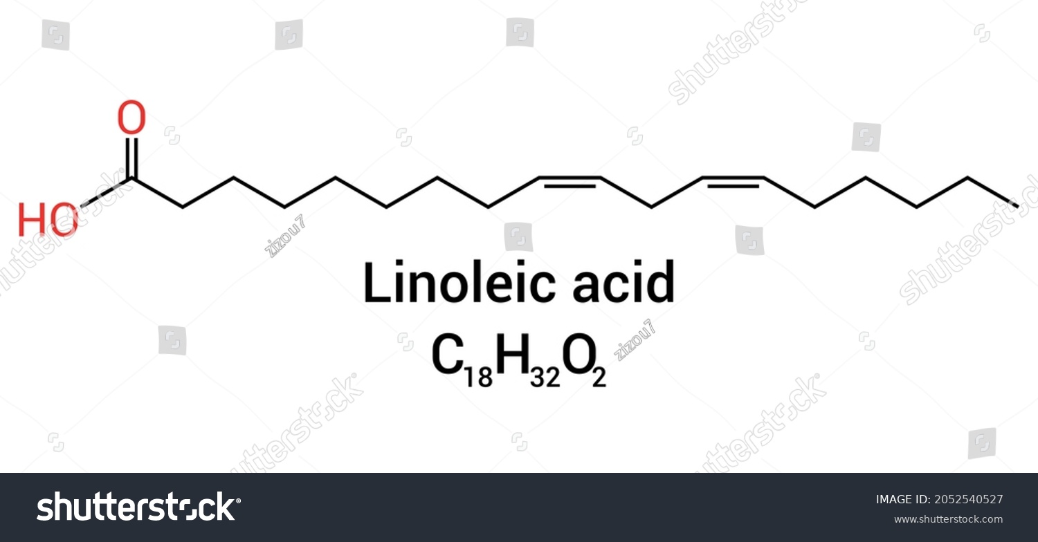 chemical structure of linoleic acid (C18H32O2) Royalty Free Stock
