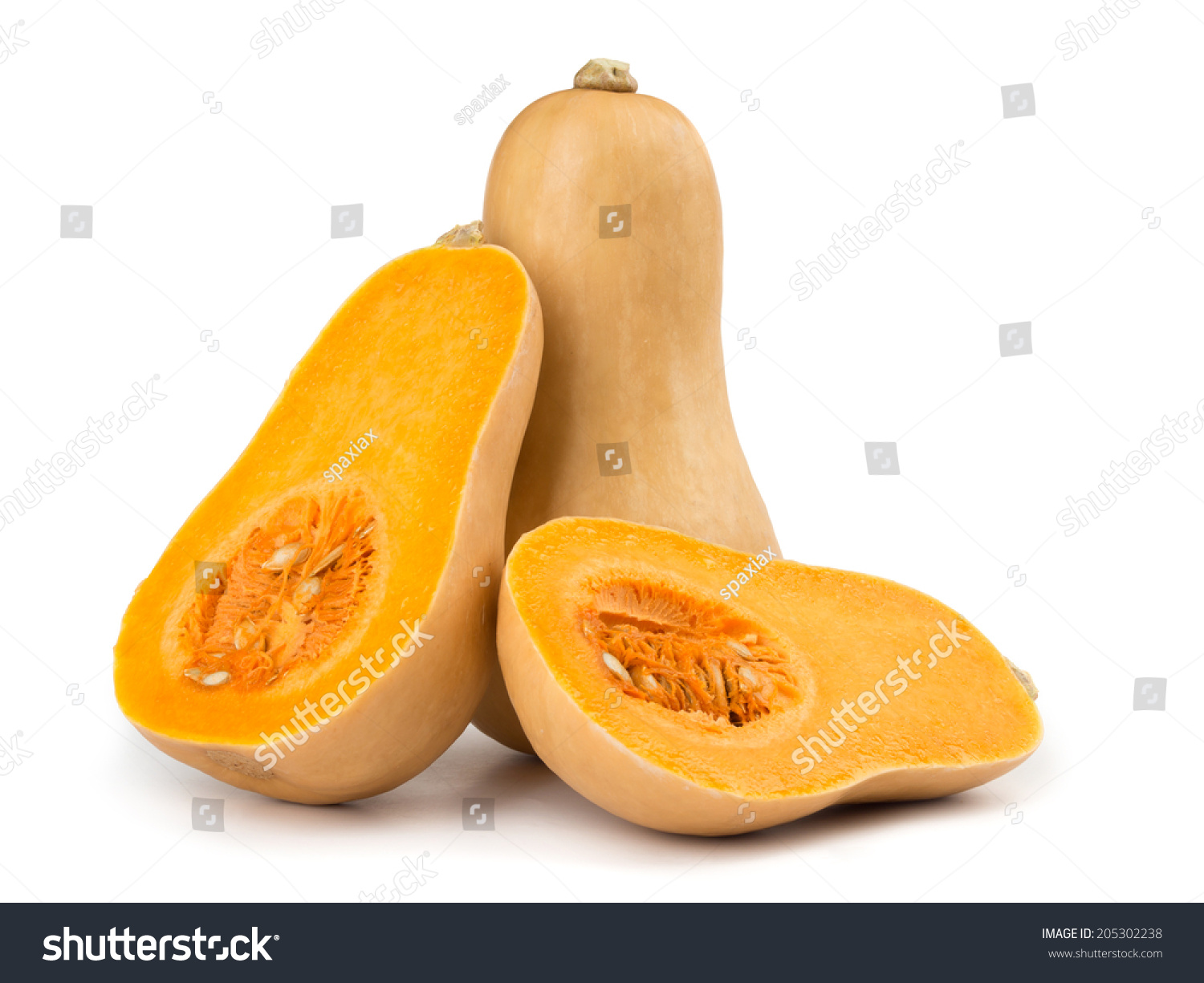 Butternut squash isolated on white background #205302238