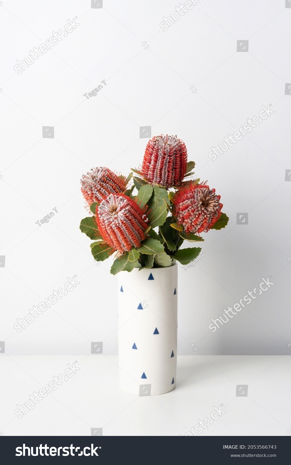 Cute Australian native Red Banksia Coccinea arrangement in a fun white pattern vase. #2053566743