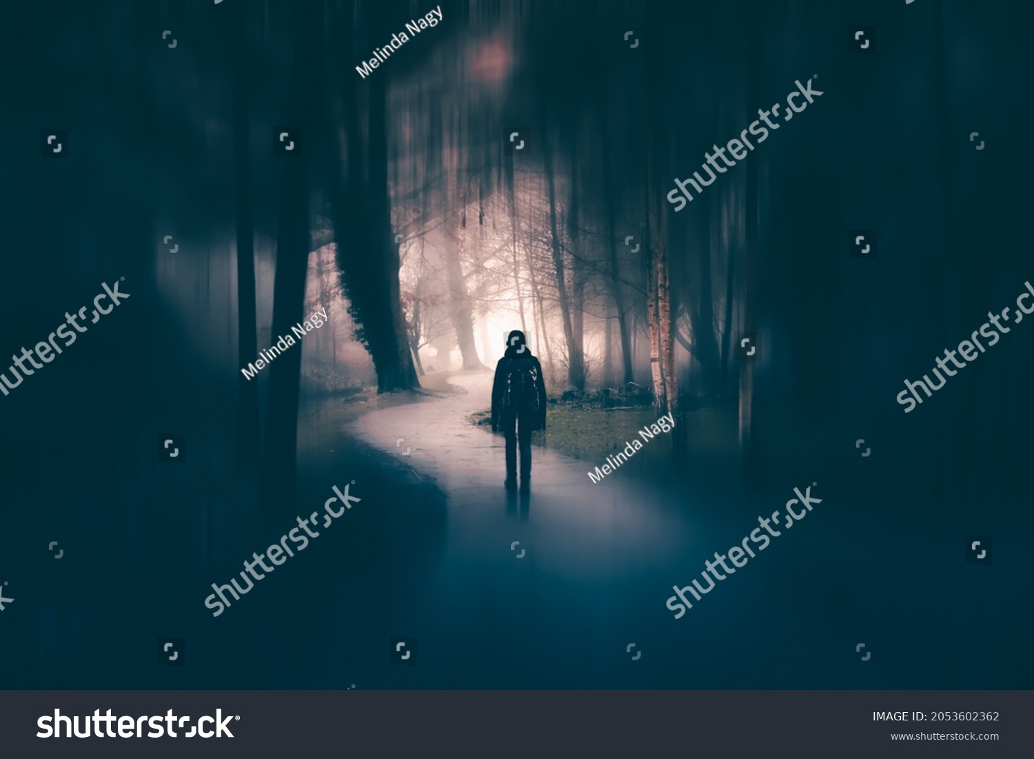 Horror background of a ghostly figure in enchanted a forest on a moody, foggy night. Halloween concept #2053602362