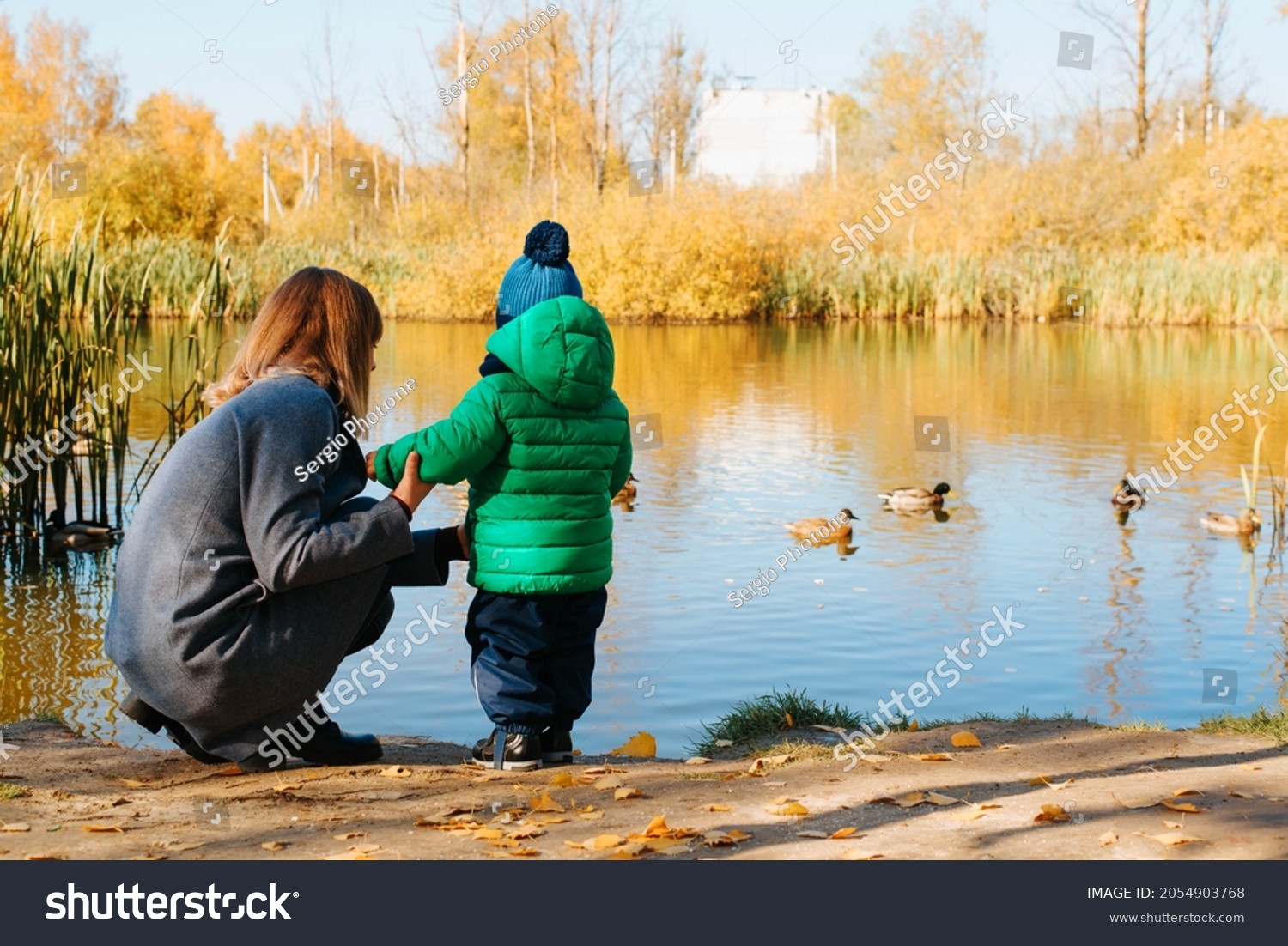 Back view of young mother with her baby feeding duck on the lake in nature, copy space. Mom holding her little son by hand on autumn walk, outdoors. Motherhood, parenting. #2054903768
