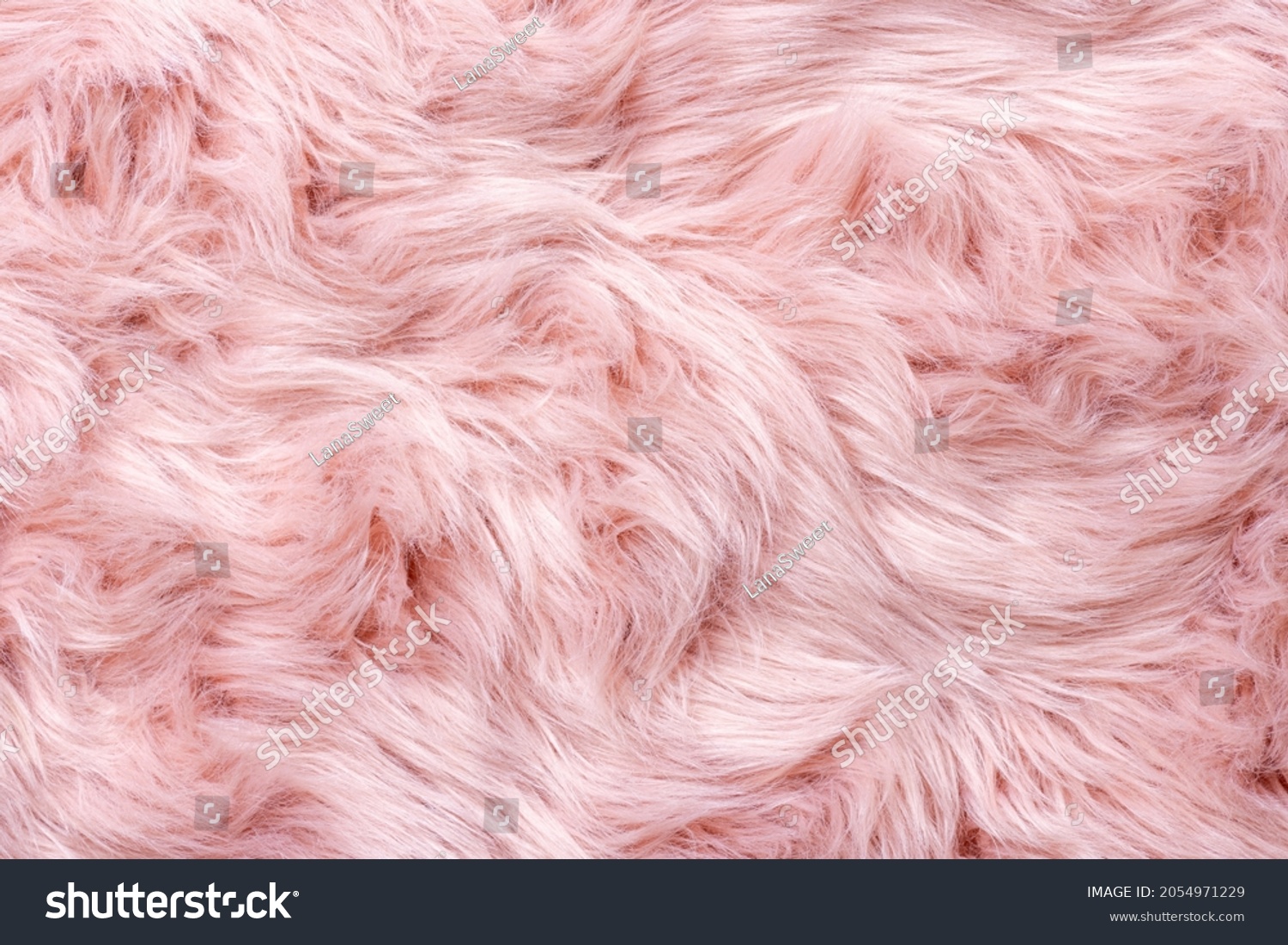 Pink fur texture top view. Pink sheepskin background. Fur pattern. Texture of pink shaggy fur. Wool texture. Sheep fur close up
 #2054971229