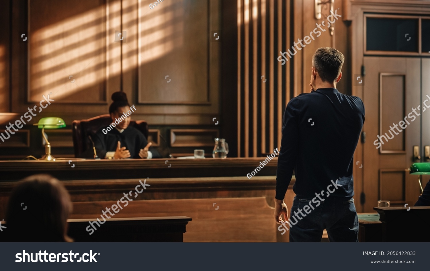 Court of Law and Justice Trial Proceedings: Male Law Offender is Questioned and Giving Testimony to Judge, Jury. Criminal Denying Charges, Pleading, Judge Accuses Guilty Defendant. #2056422833