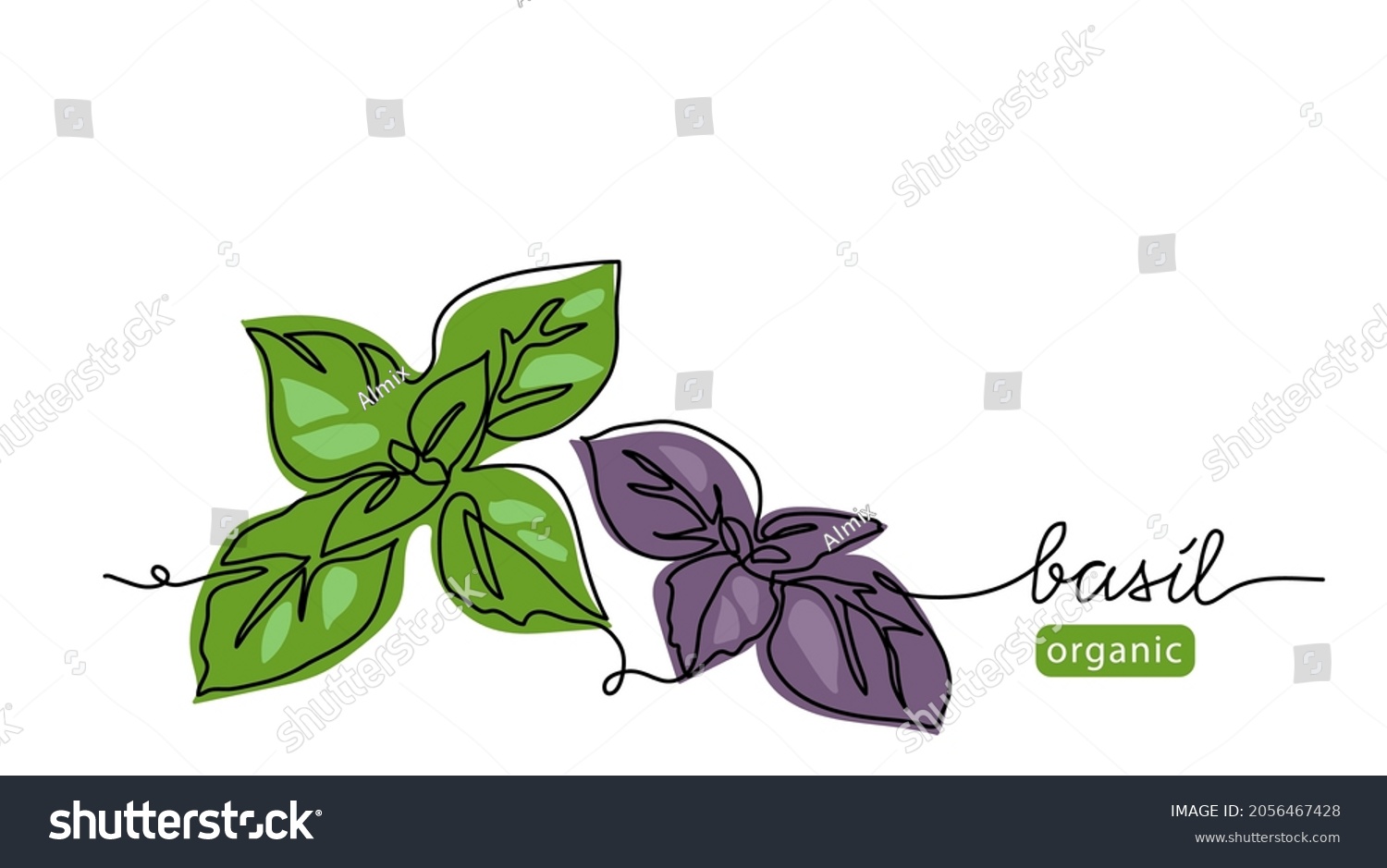 Basil leaves simple vector sketch drawing. One continuous line art illustration for background or pesto sauce label design with lettering basil. #2056467428