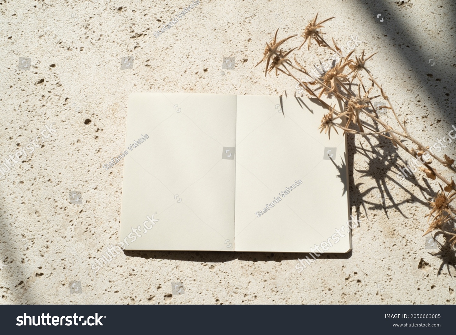 Autumn or winter wedding. Birthday stationery composition.Blank open diary with dry floral element. Harsh shadow play on travertine background. Composition in daylight, copy space, top view #2056663085
