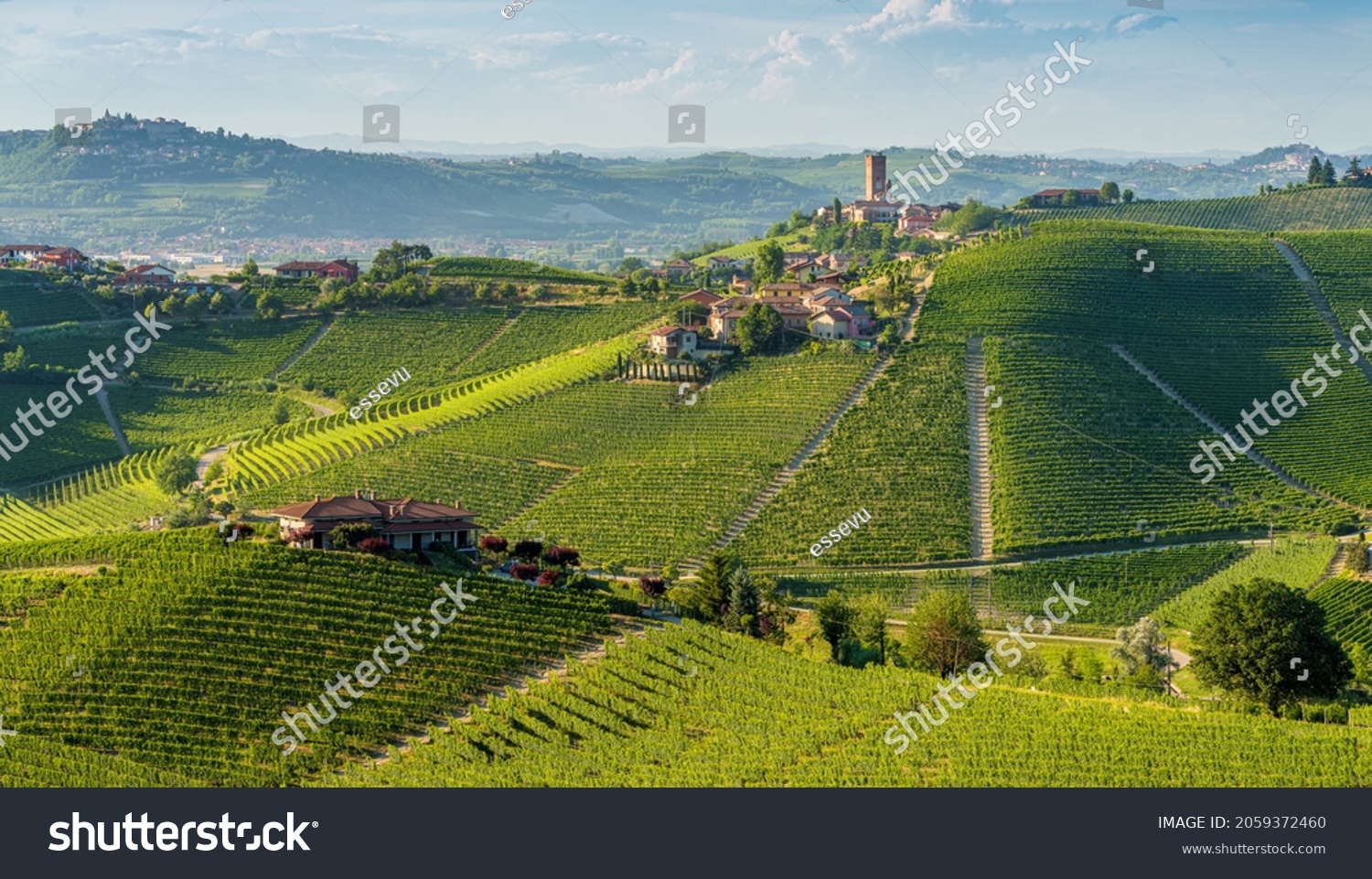 Beautiful hills and vineyards surrounding Barbaresco village in the Langhe region. Cuneo, Piedmont, Italy. #2059372460