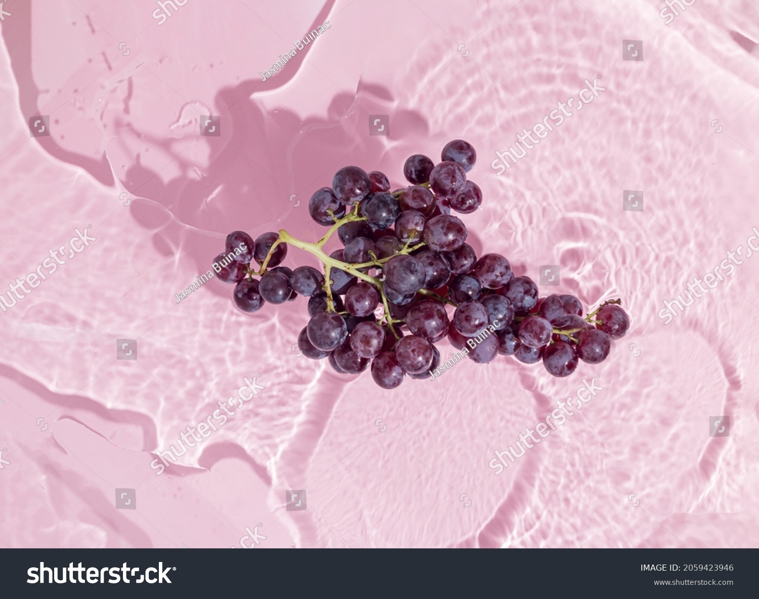 Black muscat grapes in water on pastel pink background. Natural beauty of agriculture. Creative concept of healthy food or fruit juice rich in vitamins and antioxidant resveratrol. Minimal flat lay. #2059423946