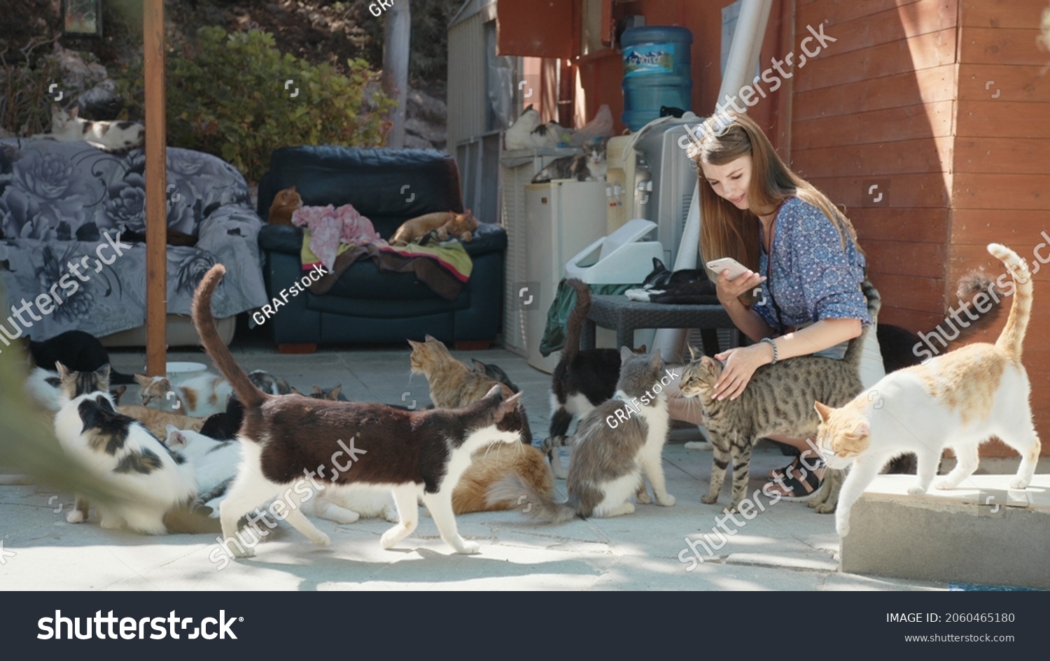 Pretty caucasian woman in summer clothes using modern smartphone for taking pictures of many colorful cats outdoors. Happy young lady playing and petting fluffy pets. #2060465180