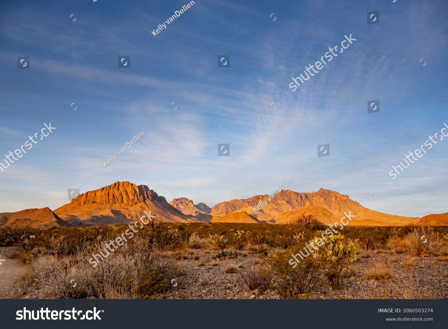 Chisos Mountains from Big Bend Valley wilderness area #2060503274