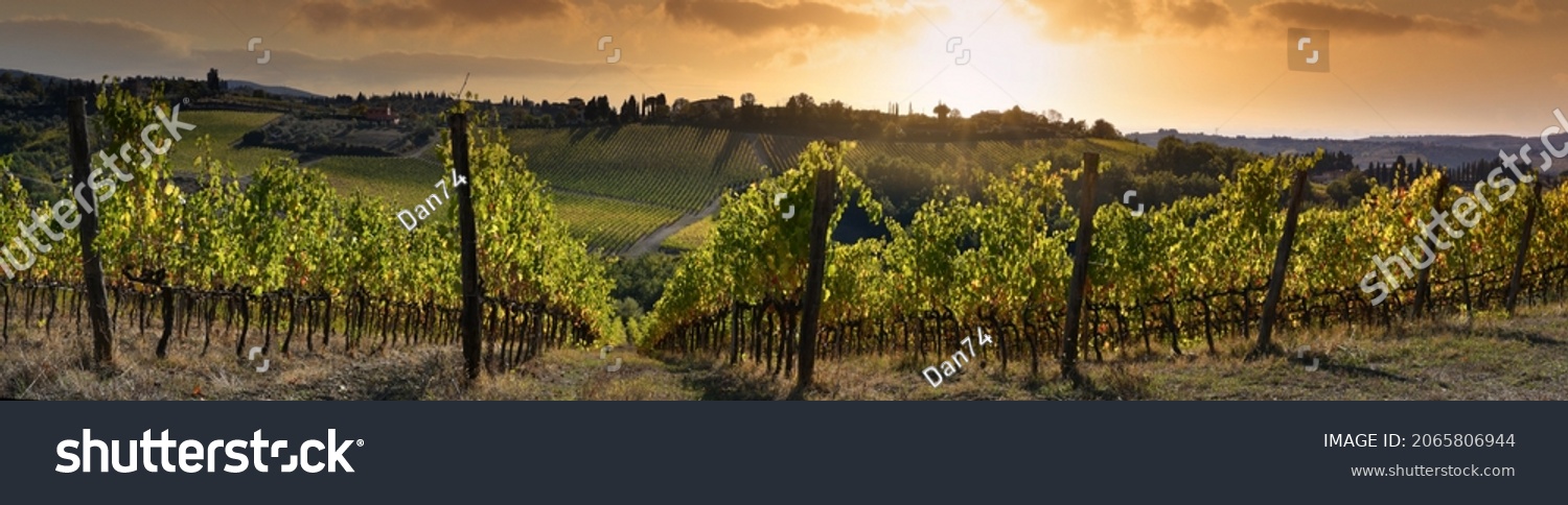 Beautiful panoramic view of vineyards under the sunset light in autumn. Chianti Classico Area near Florence, Italy. #2065806944
