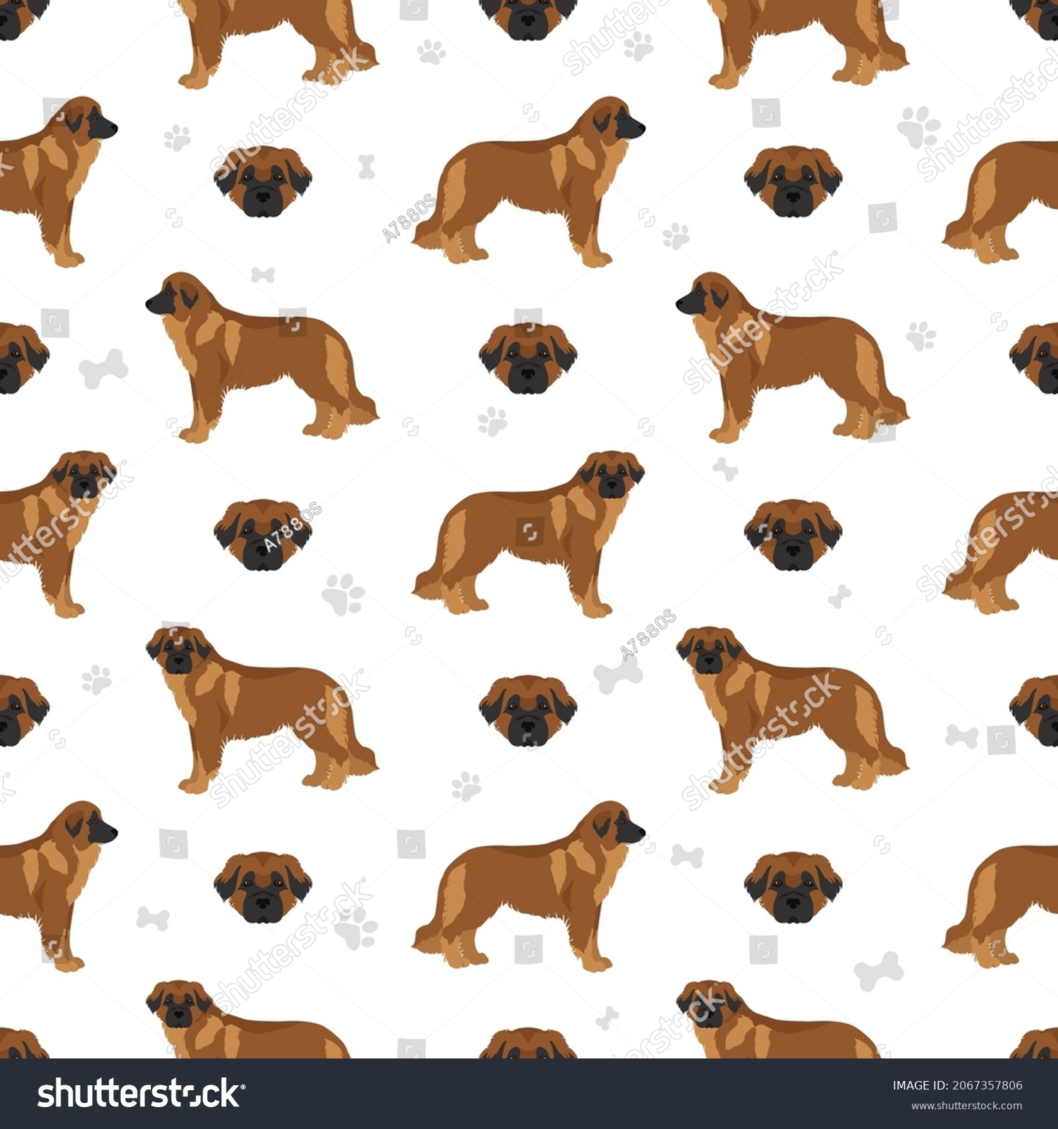 Estrela mountain dog seamless pattern. Different - Royalty Free Stock ...