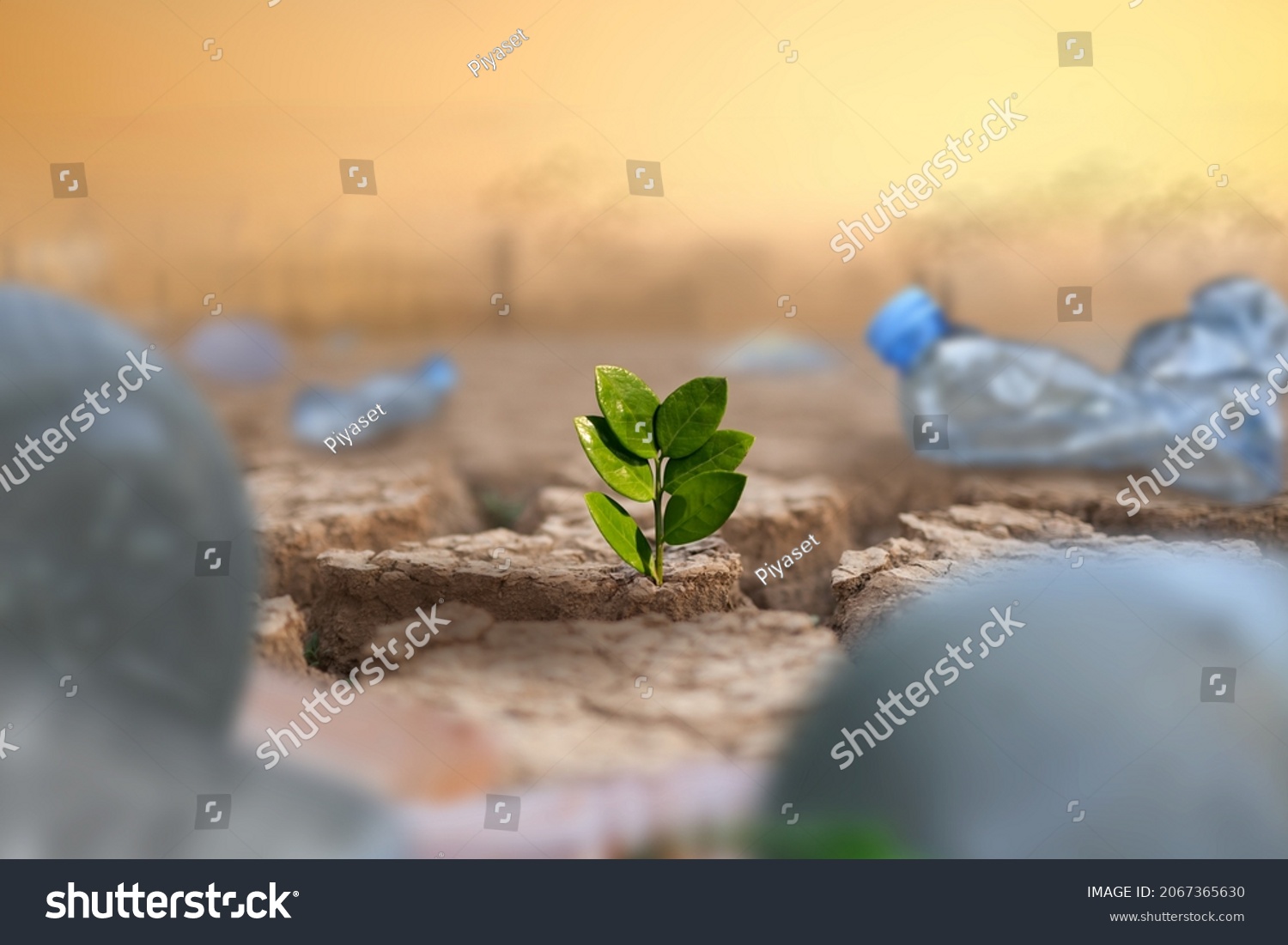 Green plant growing on dry cracked earth surrounded by waste of plastic bottle and polluted city and industry on background. Co2, Climate change and Plastic is impact to mother earth concept. #2067365630