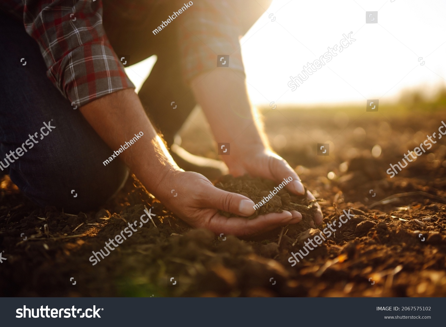 Male hands touching soil on the field. Expert hand of farmer checking soil health before growth a seed of vegetable or plant seedling. Business or ecology concept. #2067575102