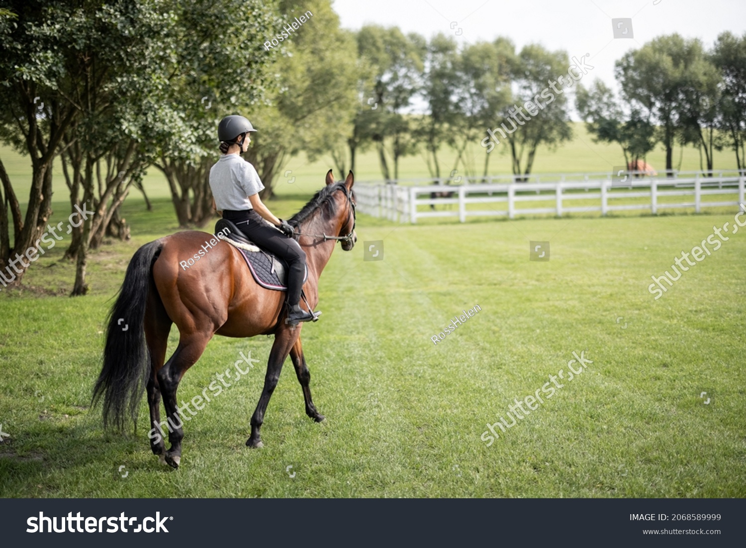 Female horseman riding brown Thoroughbred horse on green meadow in countryside. Concept of rural resting and leisure. Green tourism. Young smiling european woman. Beautiful landscape at sunny day #2068589999