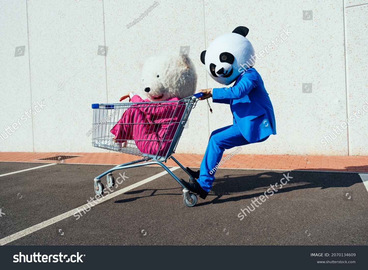 Storytelling image of a couple wearing giant panda head and colored suits. Man and woman making party in a parking lot. #2070134609