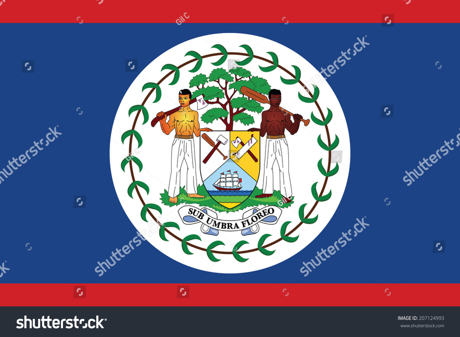 Flag of Belize. Vector. Accurate dimensions, element proportions and colors. #207124993